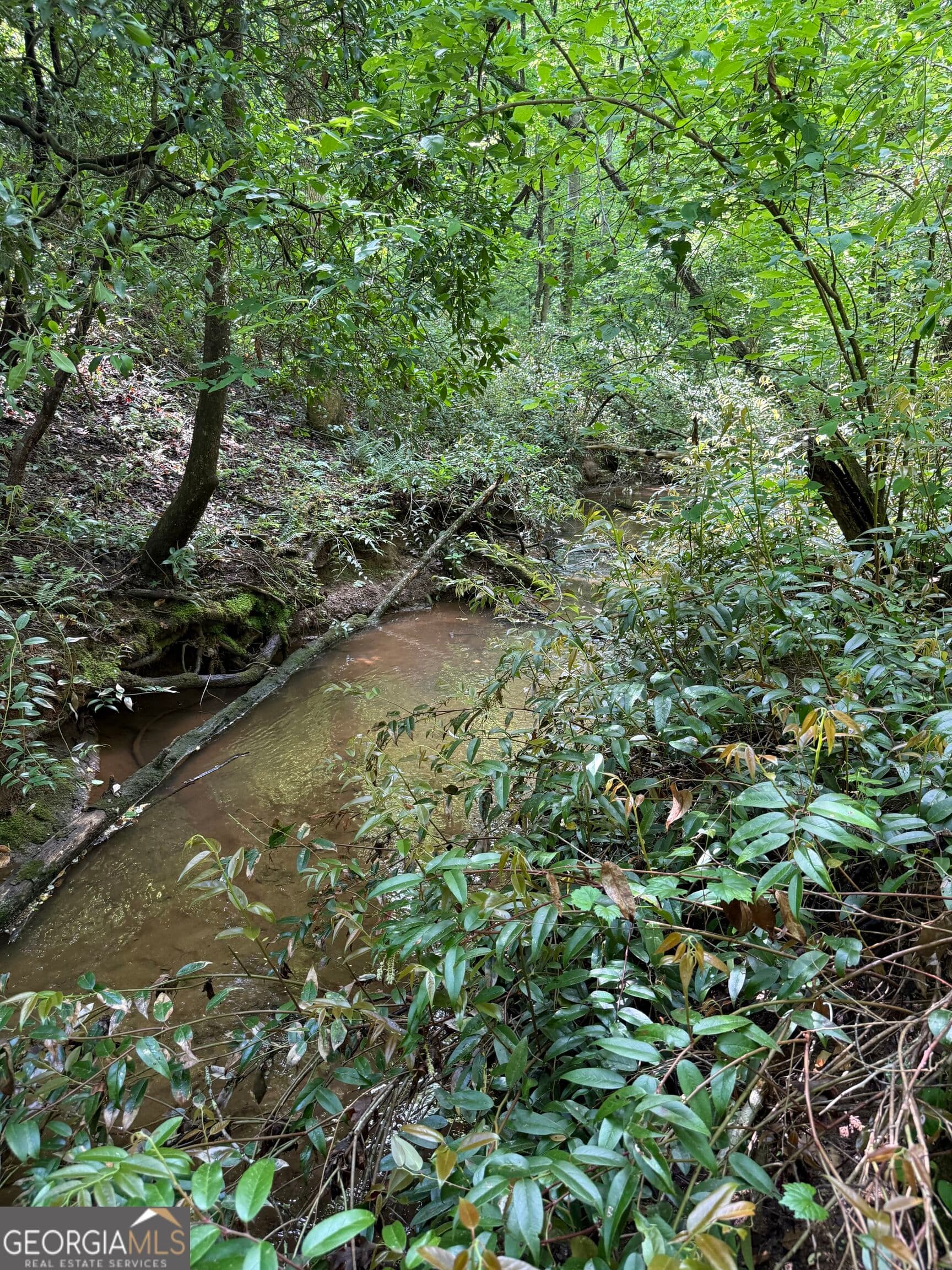 residential lot for sale at 0 Mill Trace Court, Cleveland, GA 30528 — photo 7