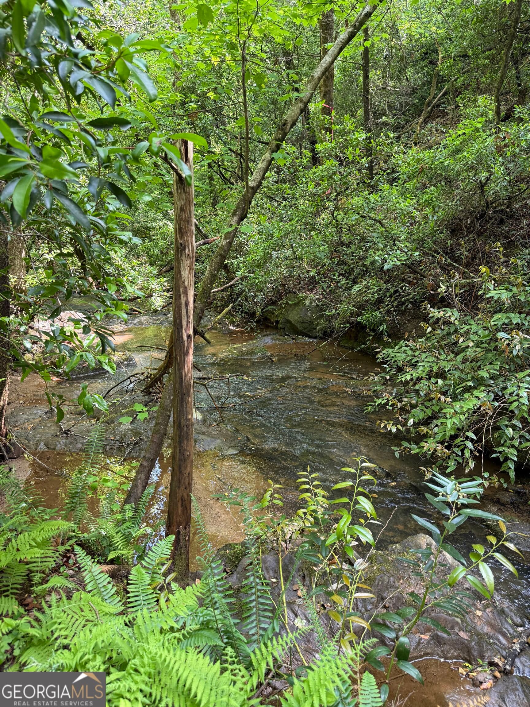 residential lot for sale at 0 Mill Trace Court, Cleveland, GA 30528 — photo 3