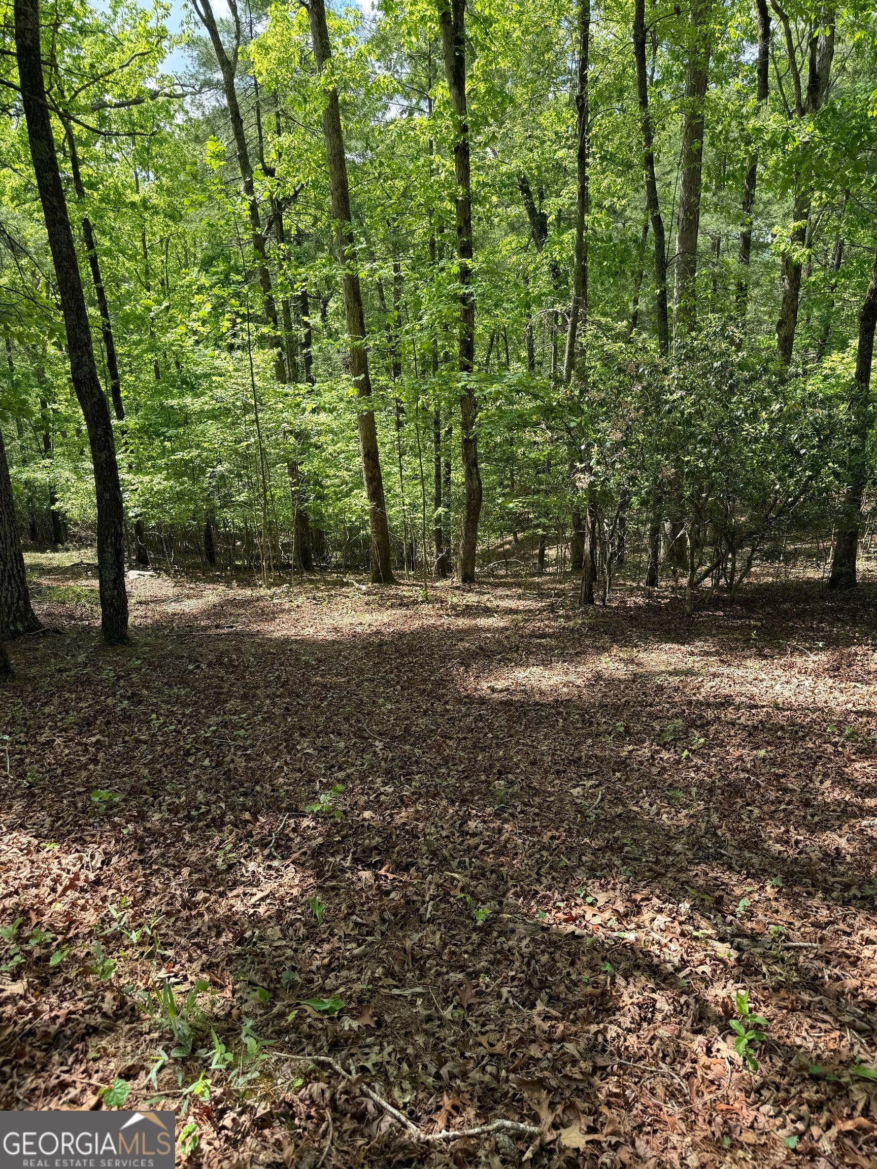 residential lot for sale at 0 Mill Trace Court, Cleveland, GA 30528 — photo 1 of 28