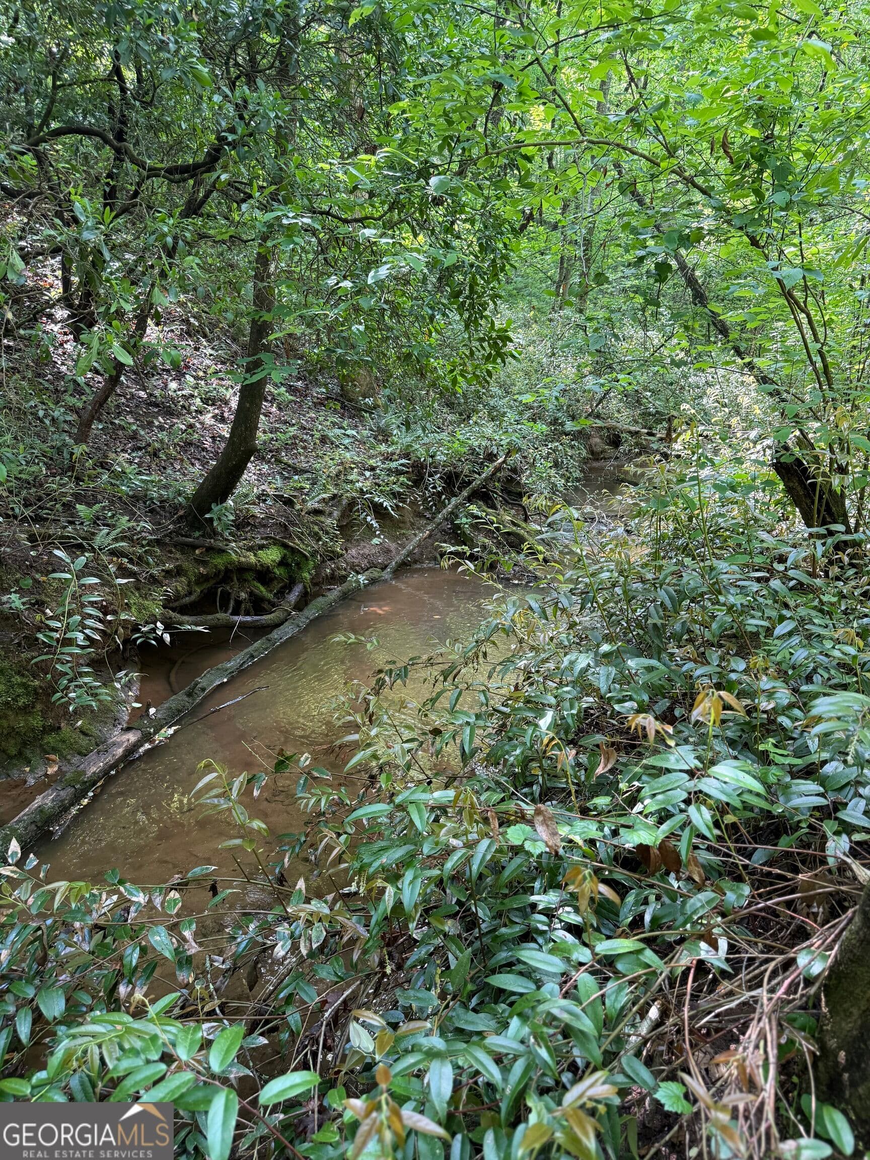residential lot for sale at 0 Mill Trace Court, Cleveland, GA 30528 — photo 5