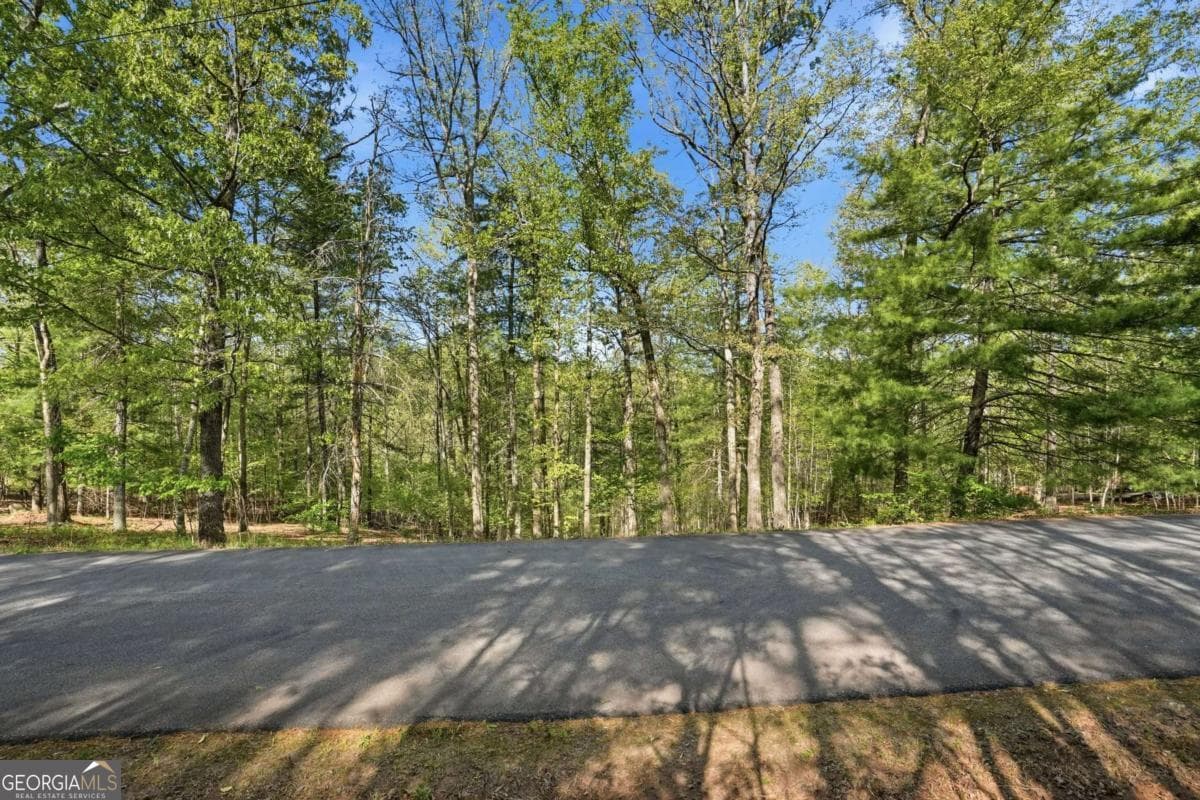 residential lot for sale at 0 Mill Trace Court, Cleveland, GA 30528 — photo 9