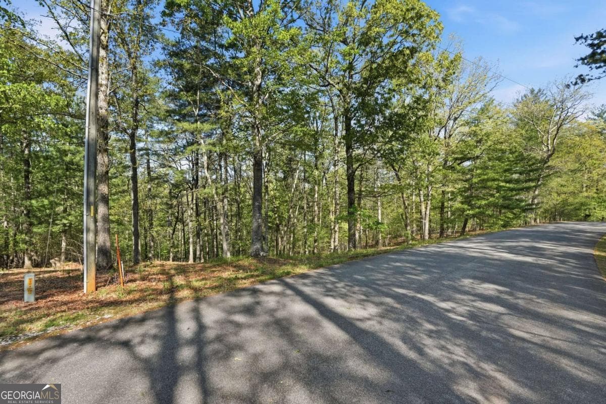 residential lot for sale at 0 Mill Trace Court, Cleveland, GA 30528 — photo 10