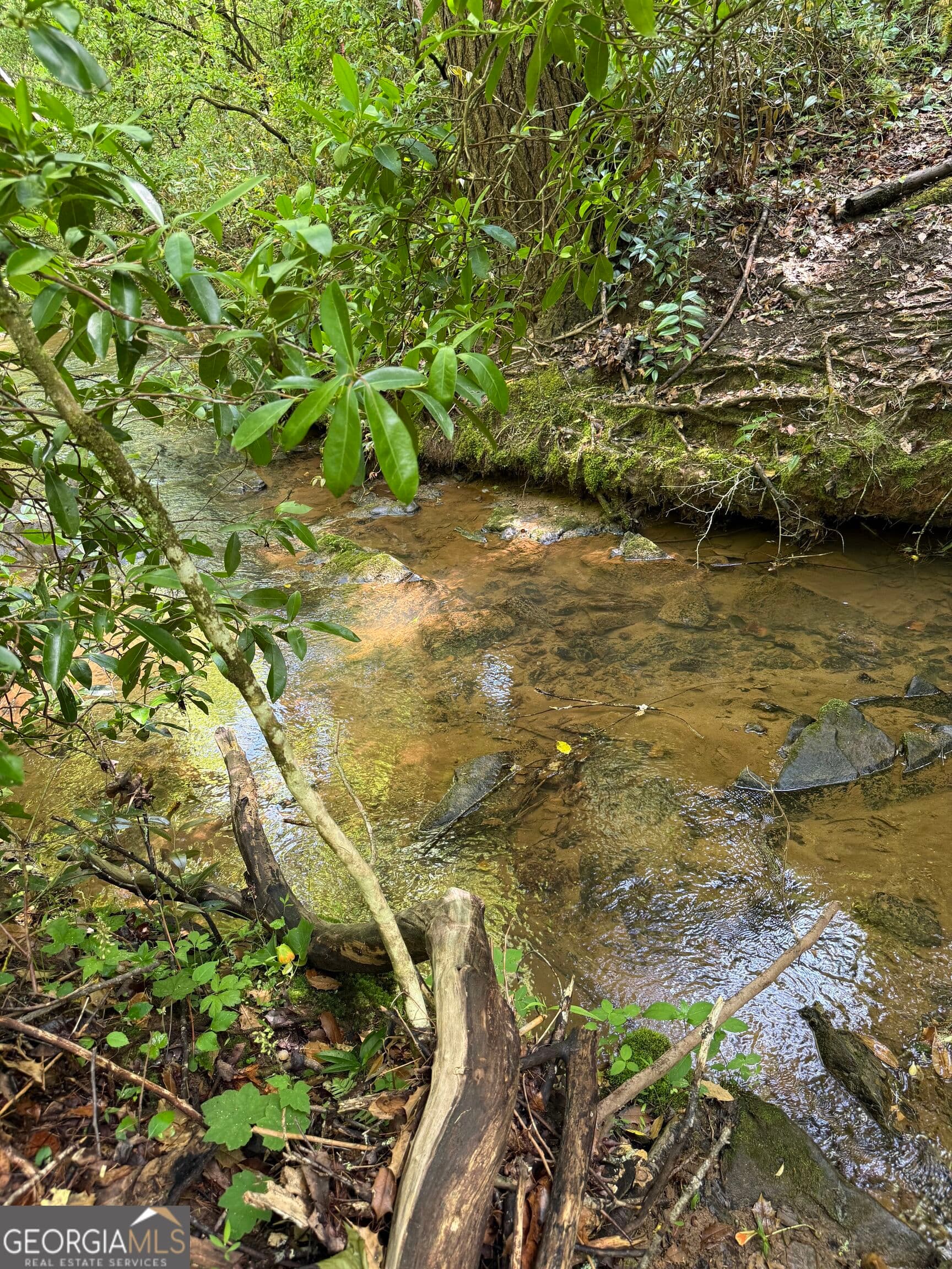 residential lot for sale at 0 Mill Trace Court, Cleveland, GA 30528 — photo 4