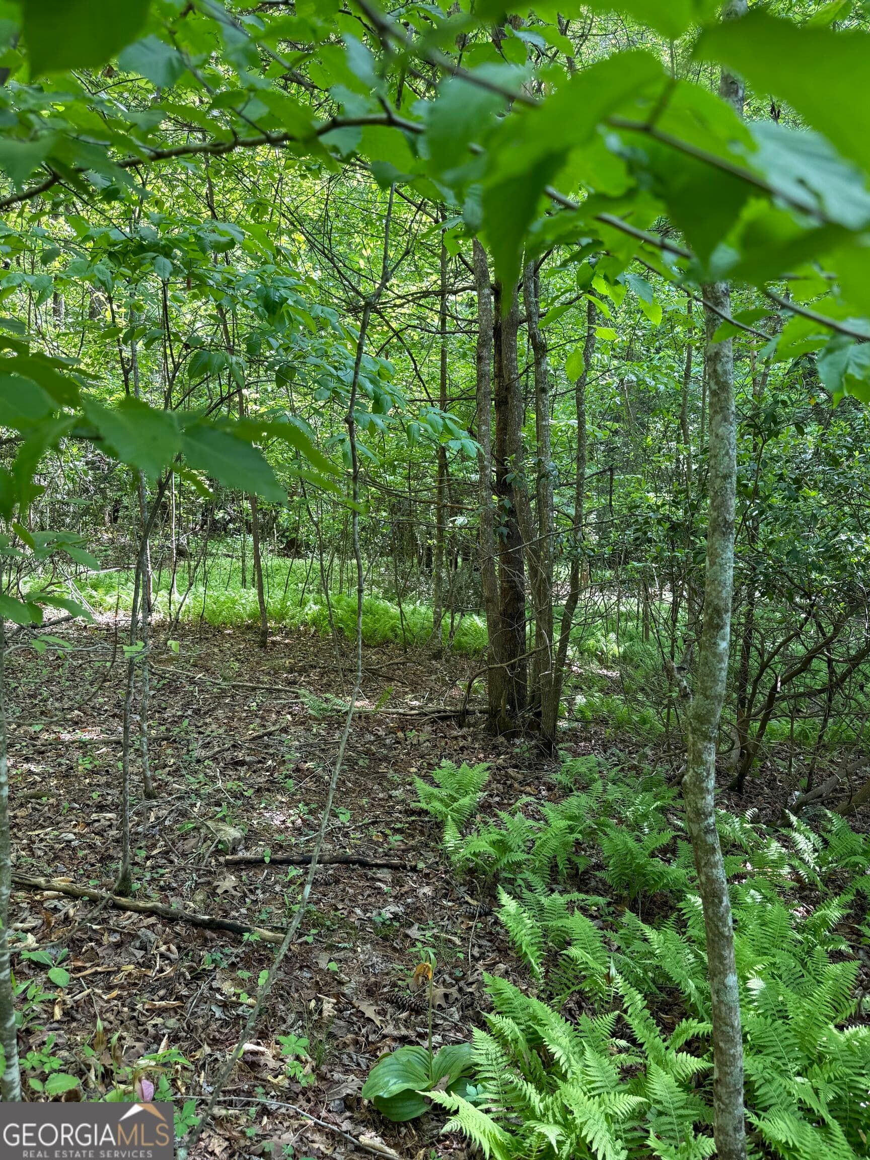 residential lot for sale at 0 Mill Trace Court, Cleveland, GA 30528 — photo 8