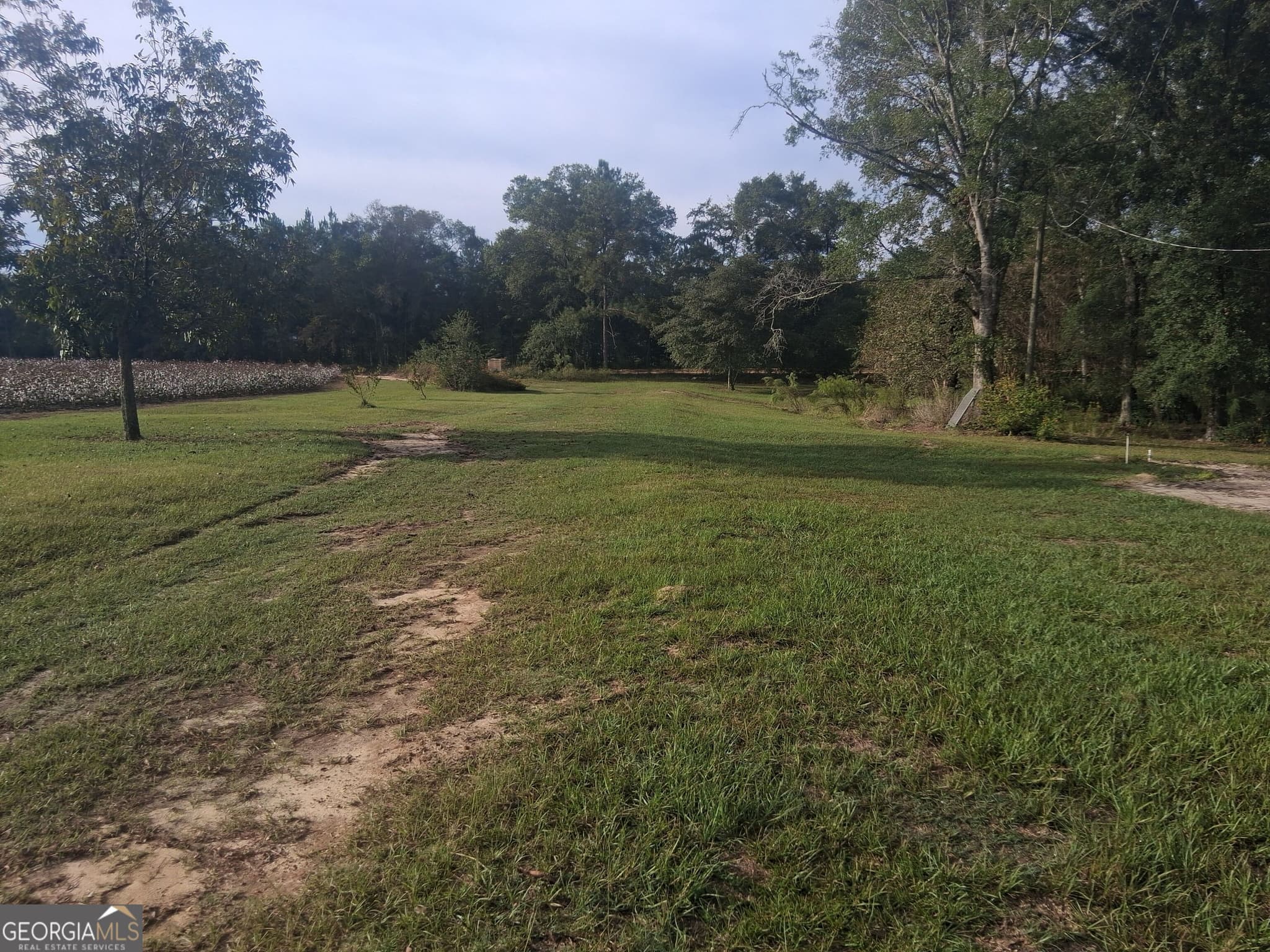 3 bedroom, 2 bathroom, 1,152 sq ft single family residence for sale at 1443 Old Bethel Road, Chester, GA 31012 — photo 3