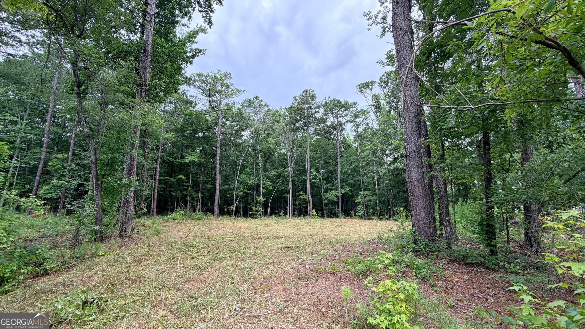 3 bedroom, 2 bathroom, 1,500 sq ft single family residence for sale at 180 Coffey Road 15, Barnesville, GA 30204