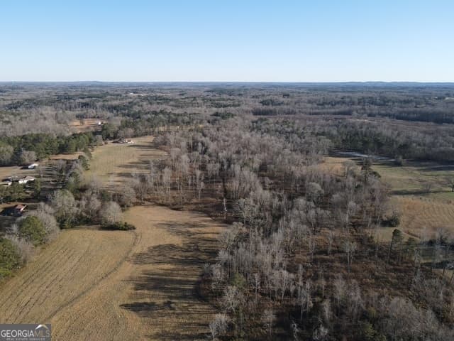 residential lot for sale at LOT 2 Caldwell, Zebulon, GA 30295 — photo 6