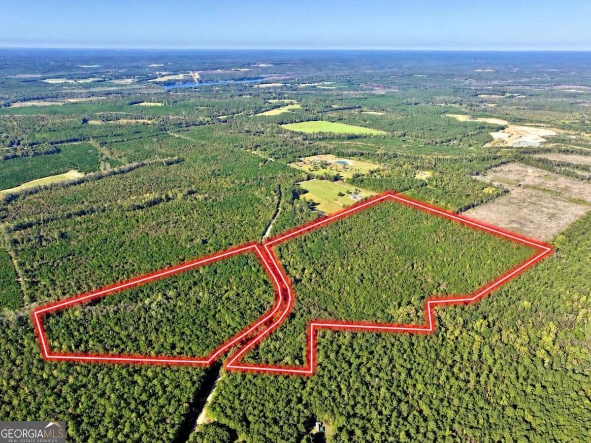 unimproved land for sale at 475 Holloway-Ray Road, Mcintyre, GA 31054 — photo 2