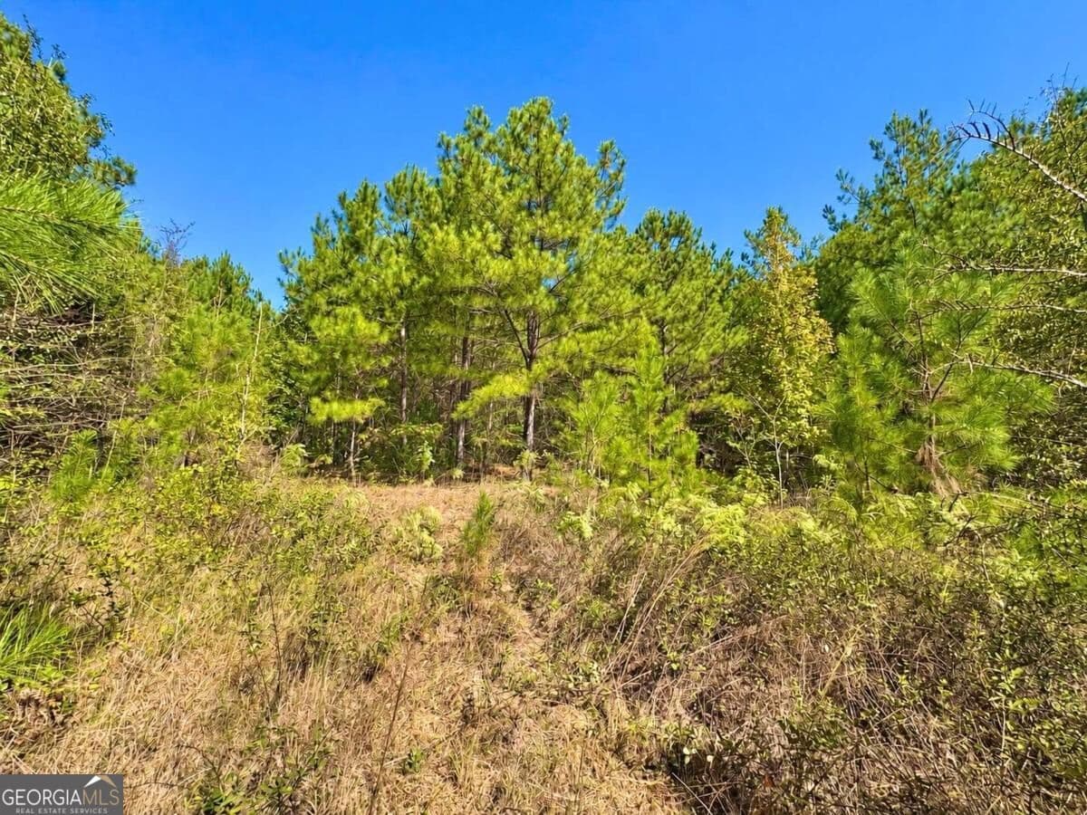 unimproved land for sale at 475 Holloway-Ray Road, Mcintyre, GA 31054 — photo 6