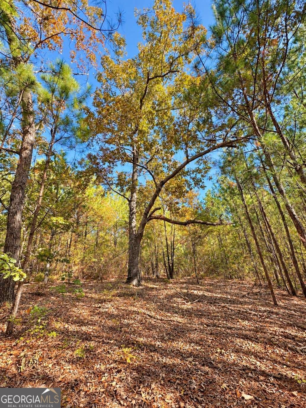 unimproved land for sale at 475 Holloway-Ray Road, Mcintyre, GA 31054 — photo 7