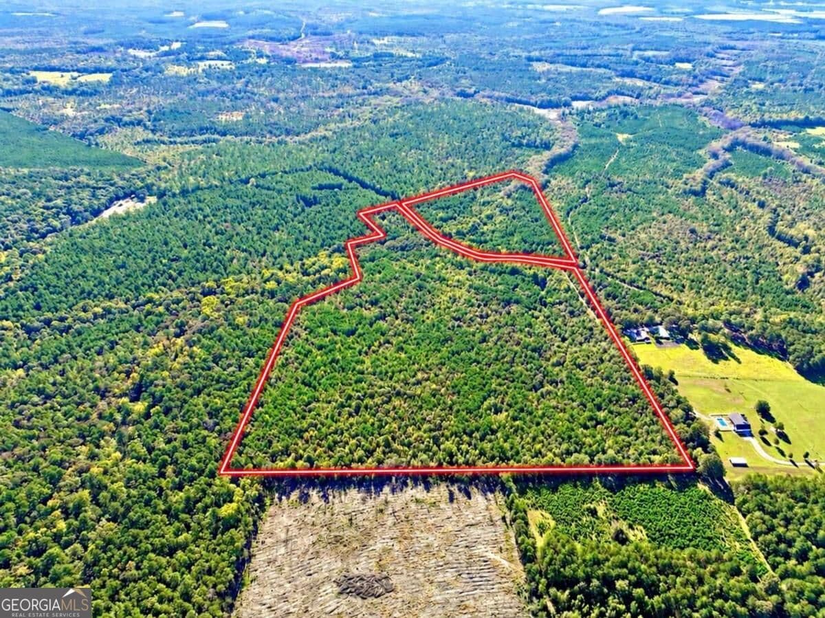 unimproved land for sale at 475 Holloway-Ray Road, Mcintyre, GA 31054 — photo 3