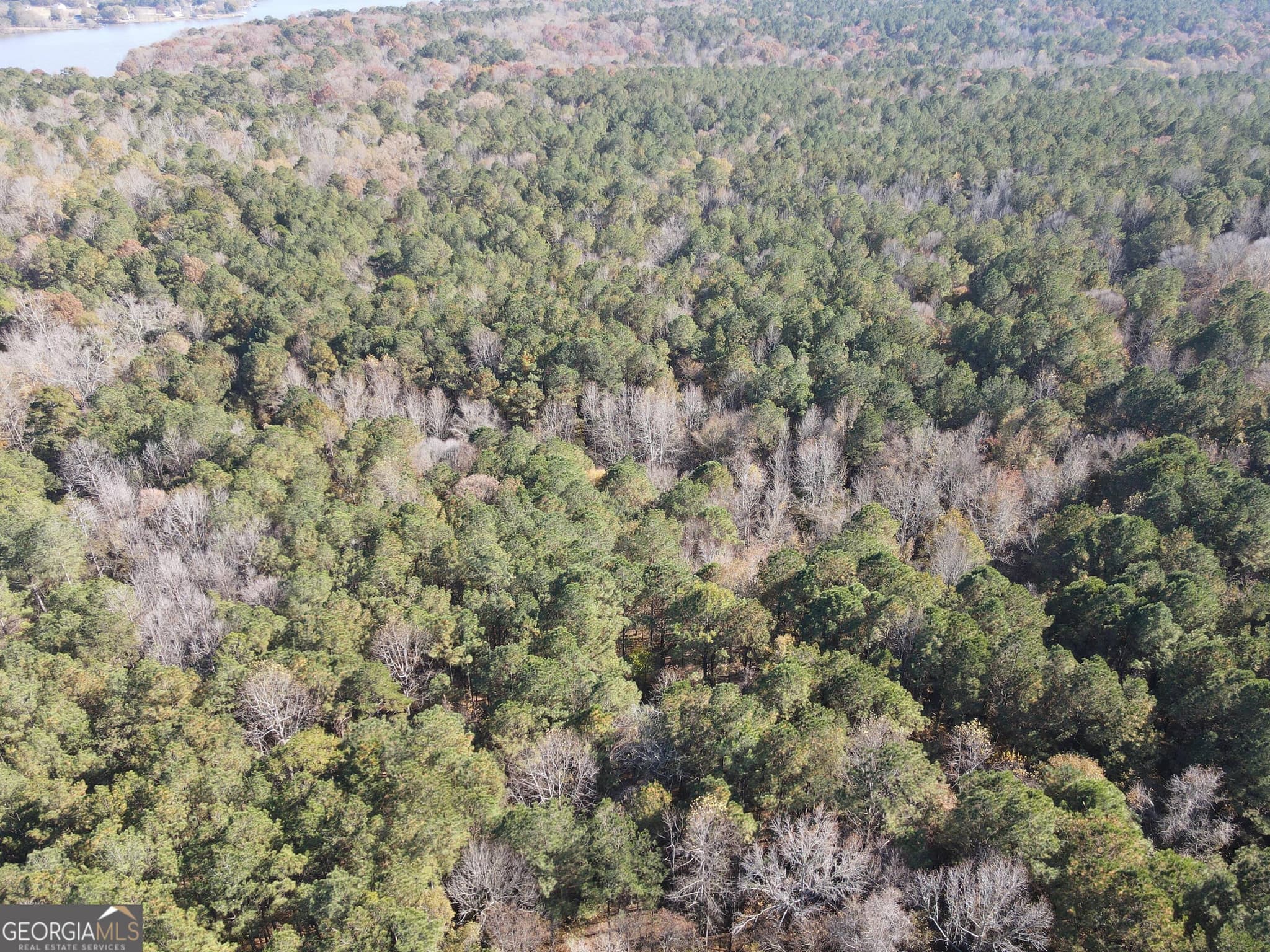 residential lot for sale at 0 Heidi Trail LOT 10, Buckhead, GA 30625 — photo 7