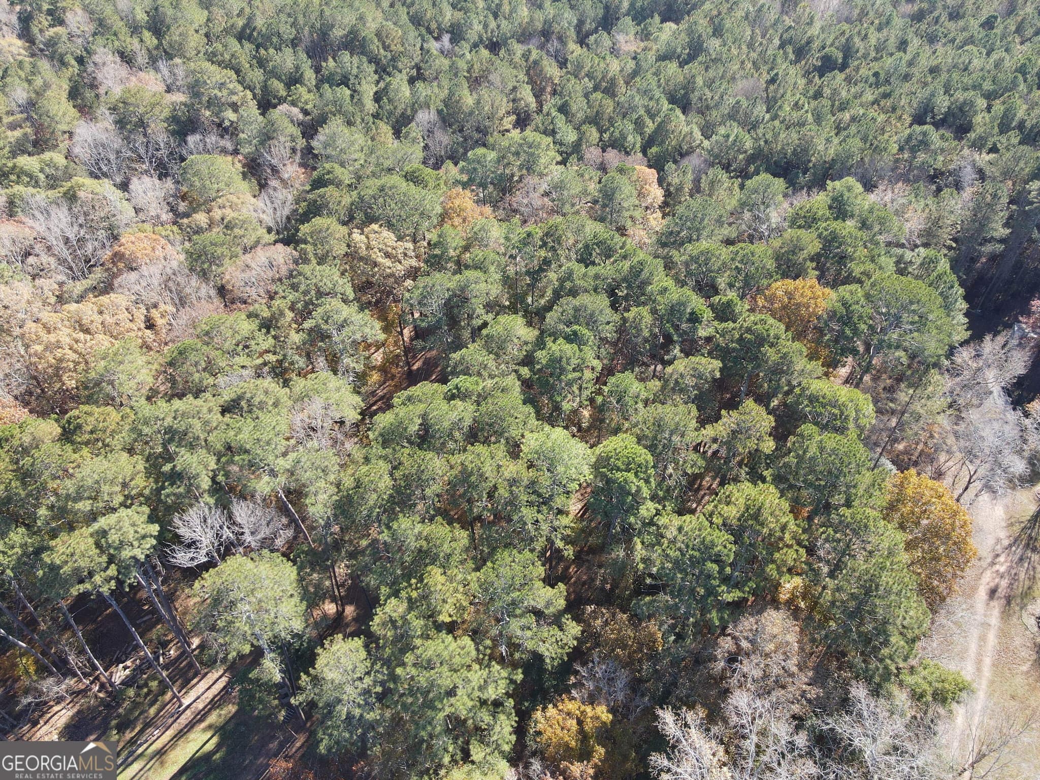 residential lot for sale at 0 Heidi Trail LOT 10, Buckhead, GA 30625 — photo 3
