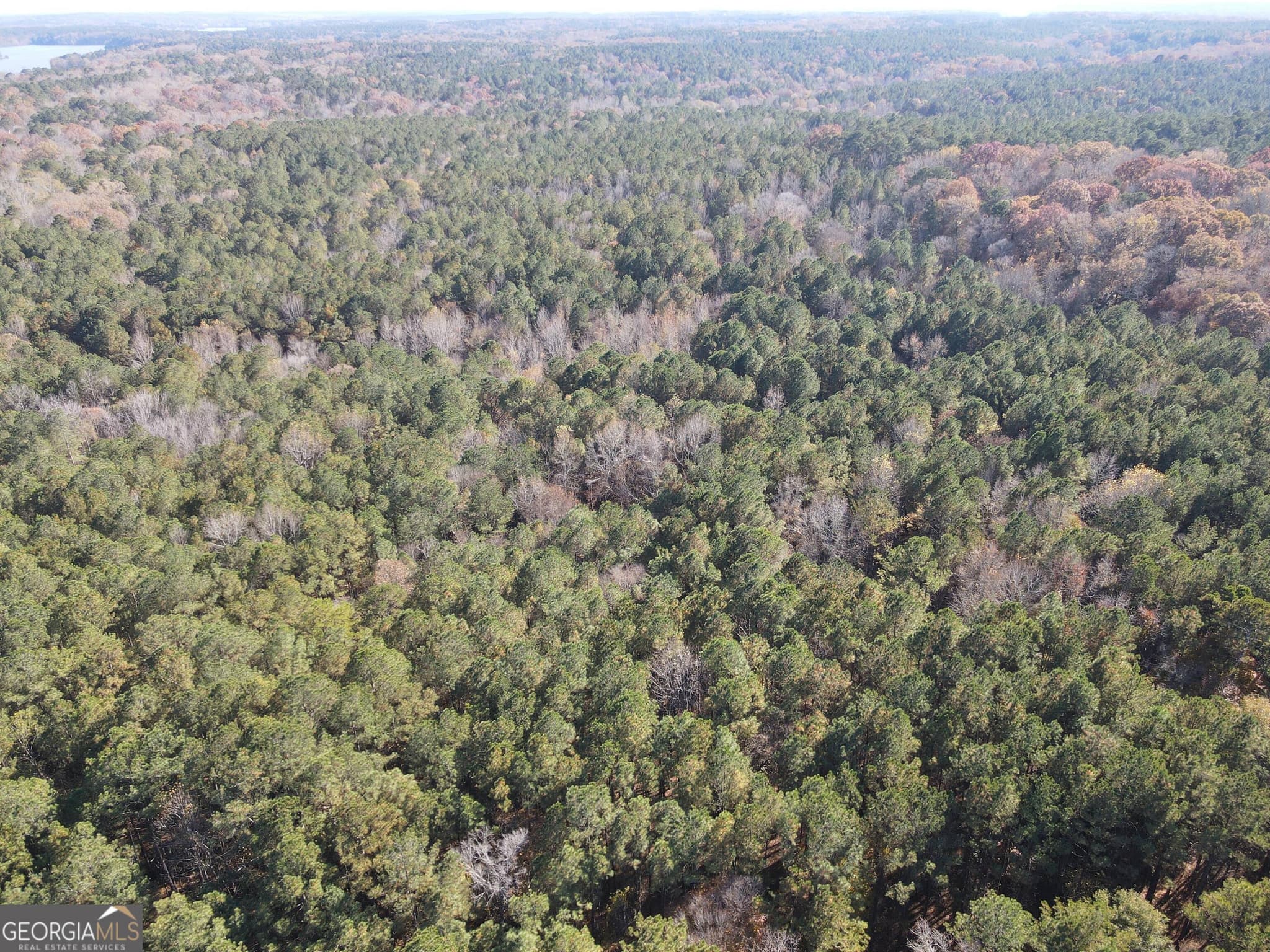 residential lot for sale at 0 Heidi Trail LOT 10, Buckhead, GA 30625 — photo 5