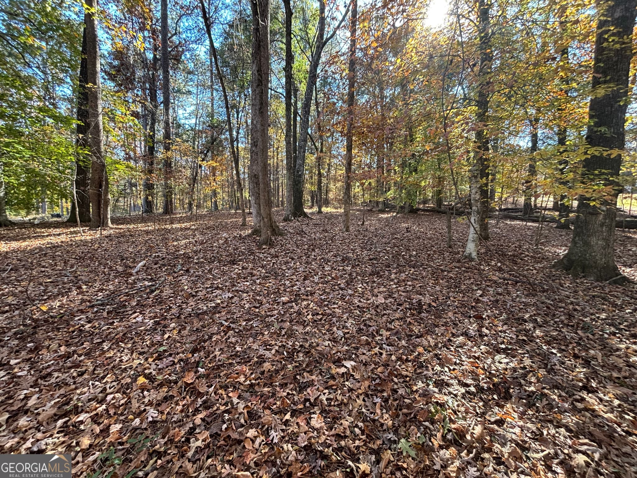 residential lot for sale at 0 Heidi Trail LOT 10, Buckhead, GA 30625 — photo 10