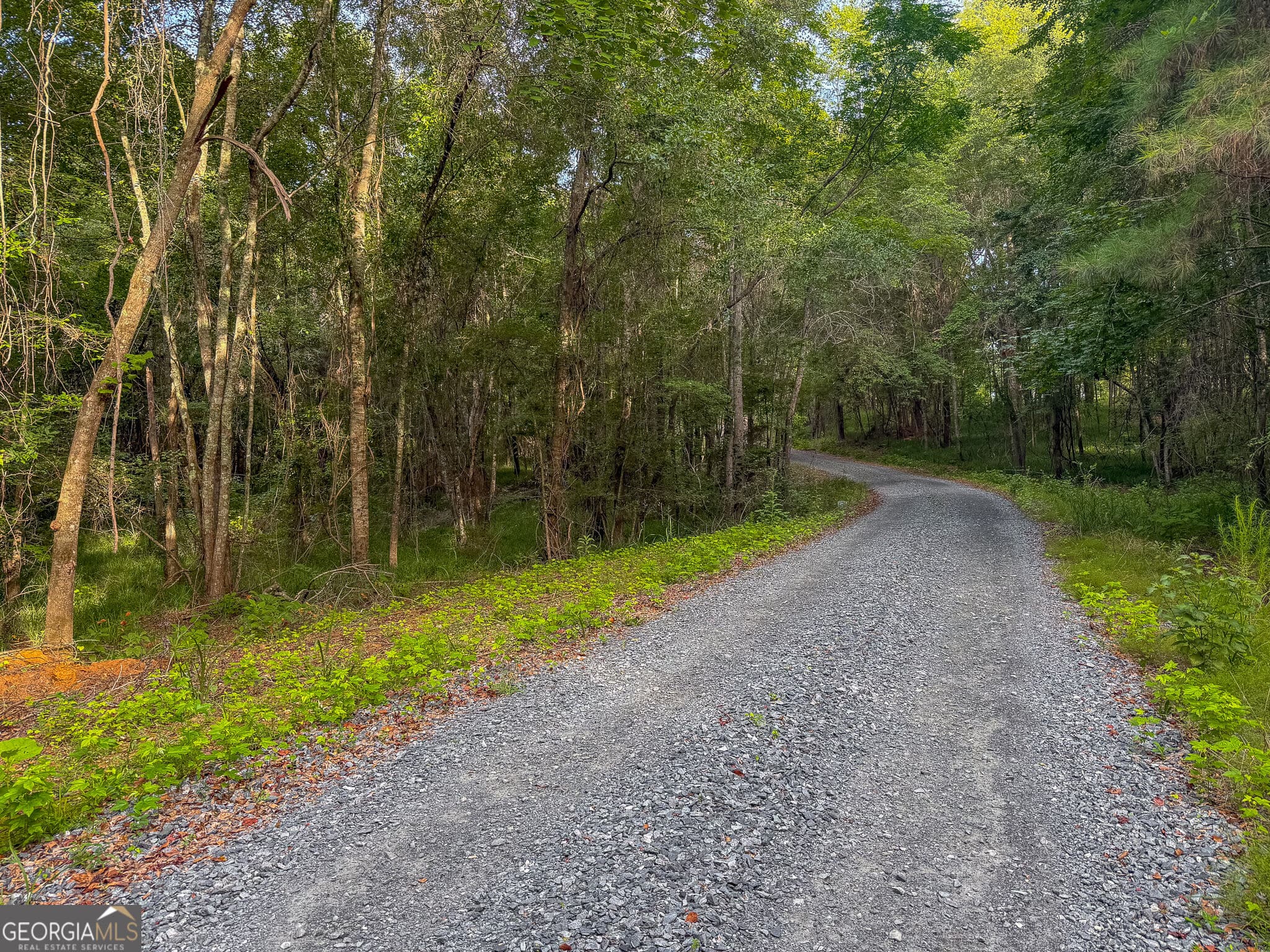 4 bedroom, 3.5 bathroom, 3,345 sq ft single family residence for sale at 1709 Poplar Ridge Road, Ellaville, GA 31806 — photo 5
