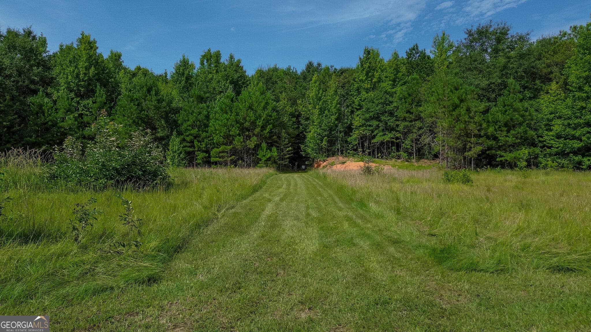 4 bedroom, 3.5 bathroom, 3,345 sq ft single family residence for sale at 1709 Poplar Ridge Road, Ellaville, GA 31806 — photo 4