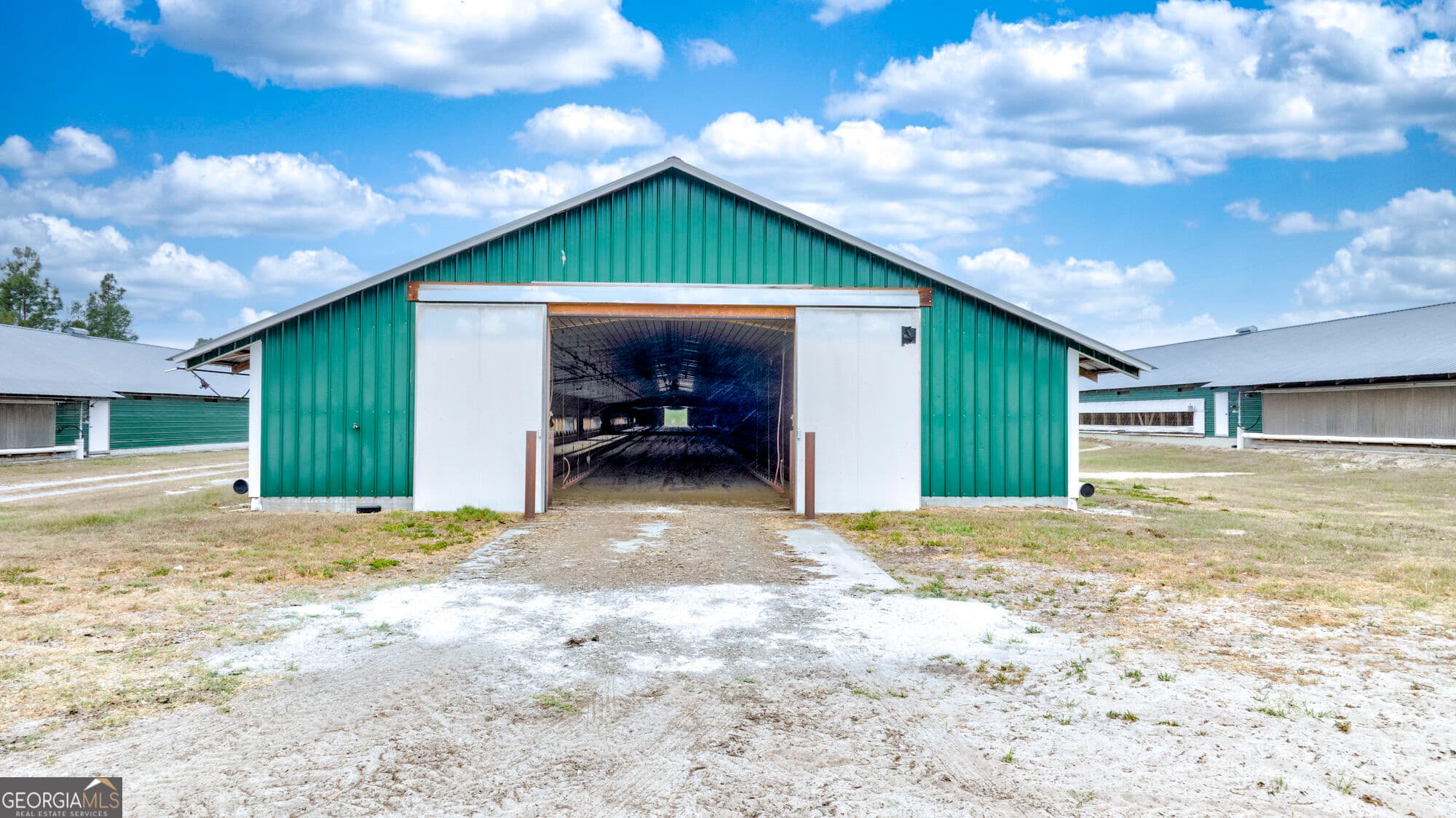 agriculture for sale at 2474 Rushing Boone Road, Glennville, GA 30427 — photo 7