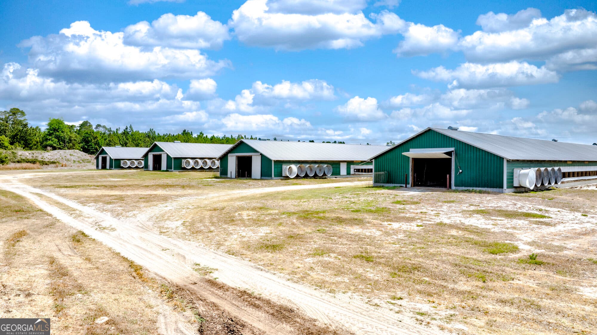 agriculture for sale at 2474 Rushing Boone Road, Glennville, GA 30427 — photo 3