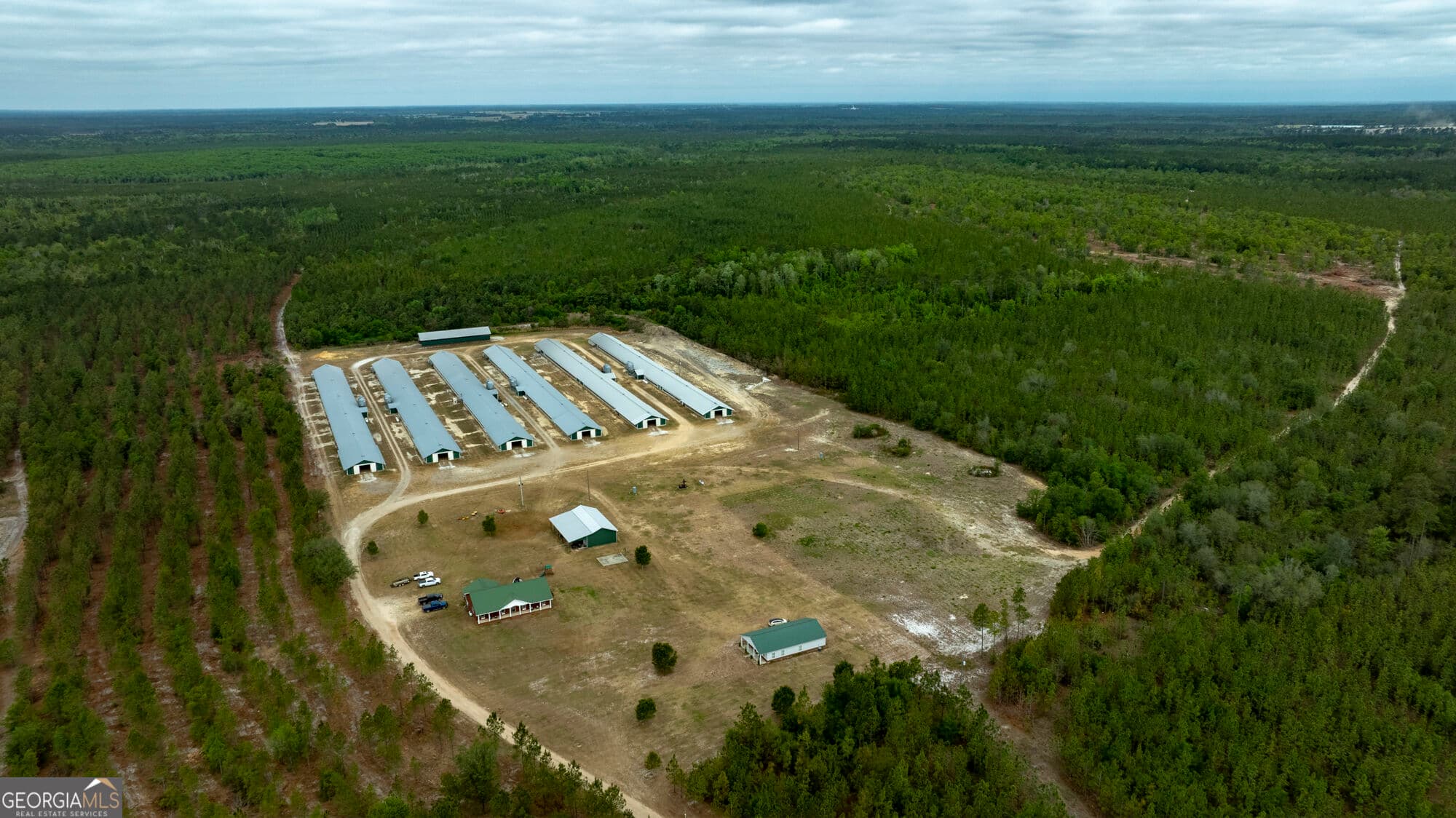 agriculture for sale at 2474 Rushing Boone Road, Glennville, GA 30427
