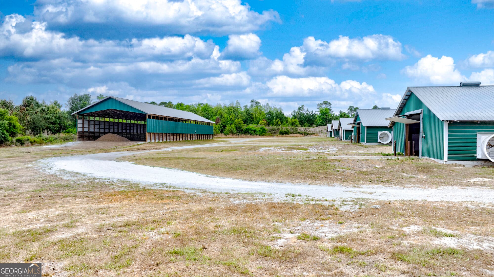 agriculture for sale at 2474 Rushing Boone Road, Glennville, GA 30427 — photo 9