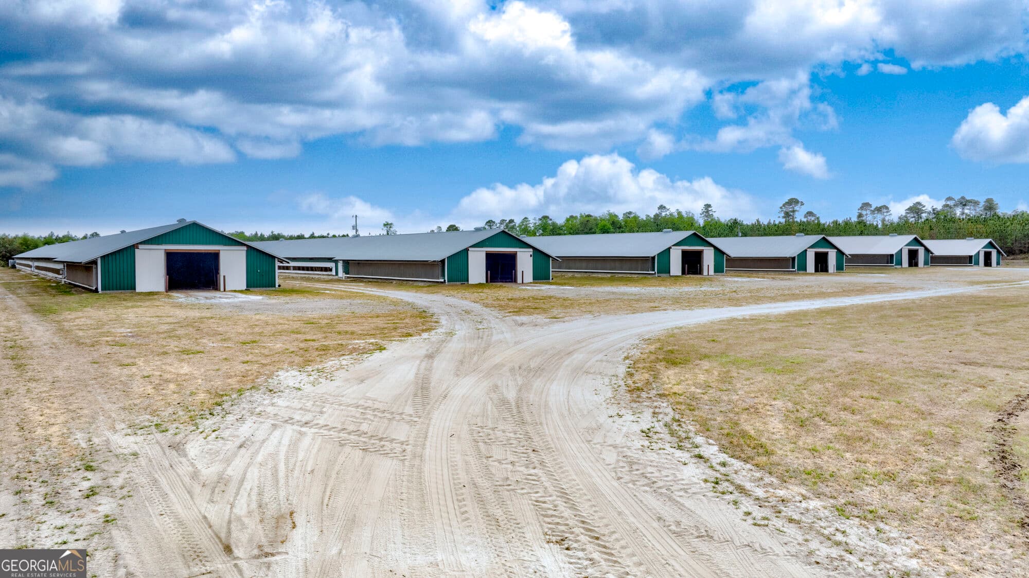 agriculture for sale at 2474 Rushing Boone Road, Glennville, GA 30427 — photo 10