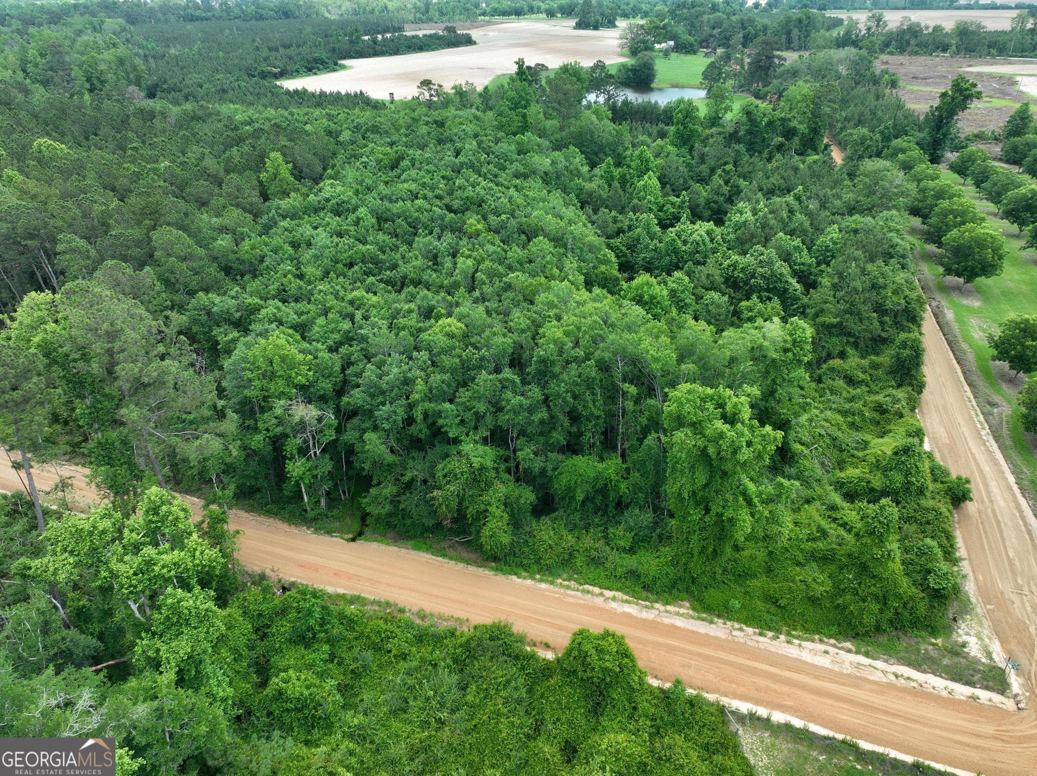 unimproved land for sale at 0 Sgt Lonnie Lane, Metter, GA 30439 — photo 2