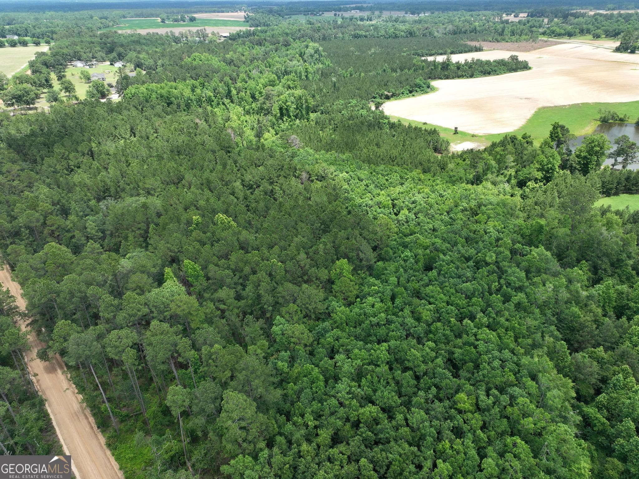 unimproved land for sale at 0 Sgt Lonnie Lane, Metter, GA 30439 — photo 6