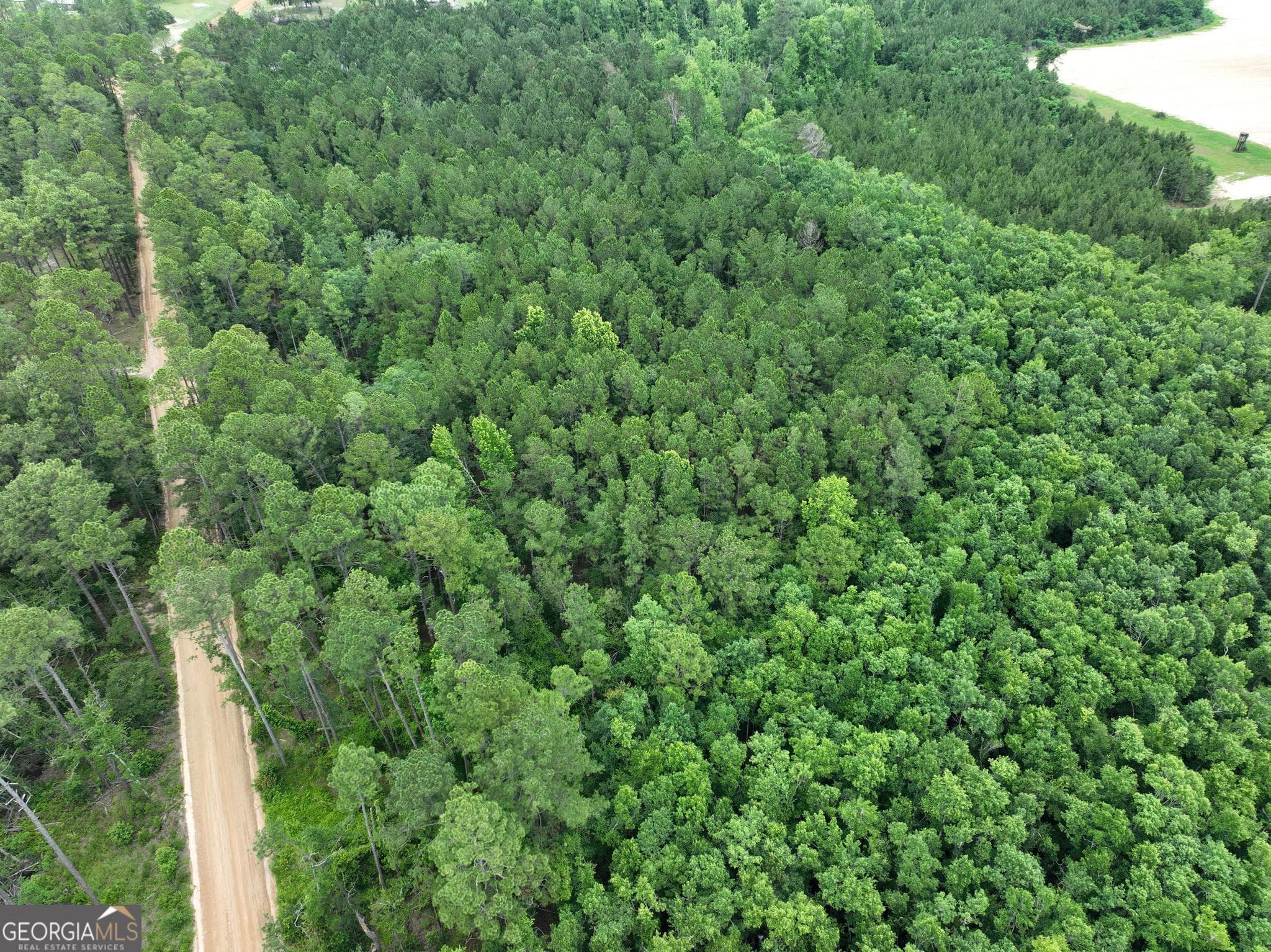 unimproved land for sale at 0 Sgt Lonnie Lane, Metter, GA 30439 — photo 3