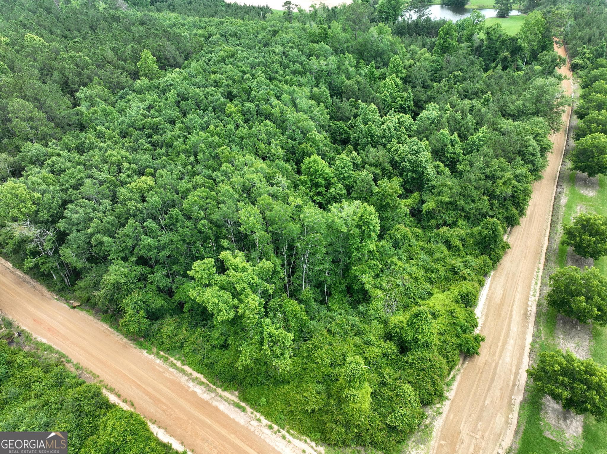 unimproved land for sale at 0 Sgt Lonnie Lane, Metter, GA 30439 — photo 1 of 6