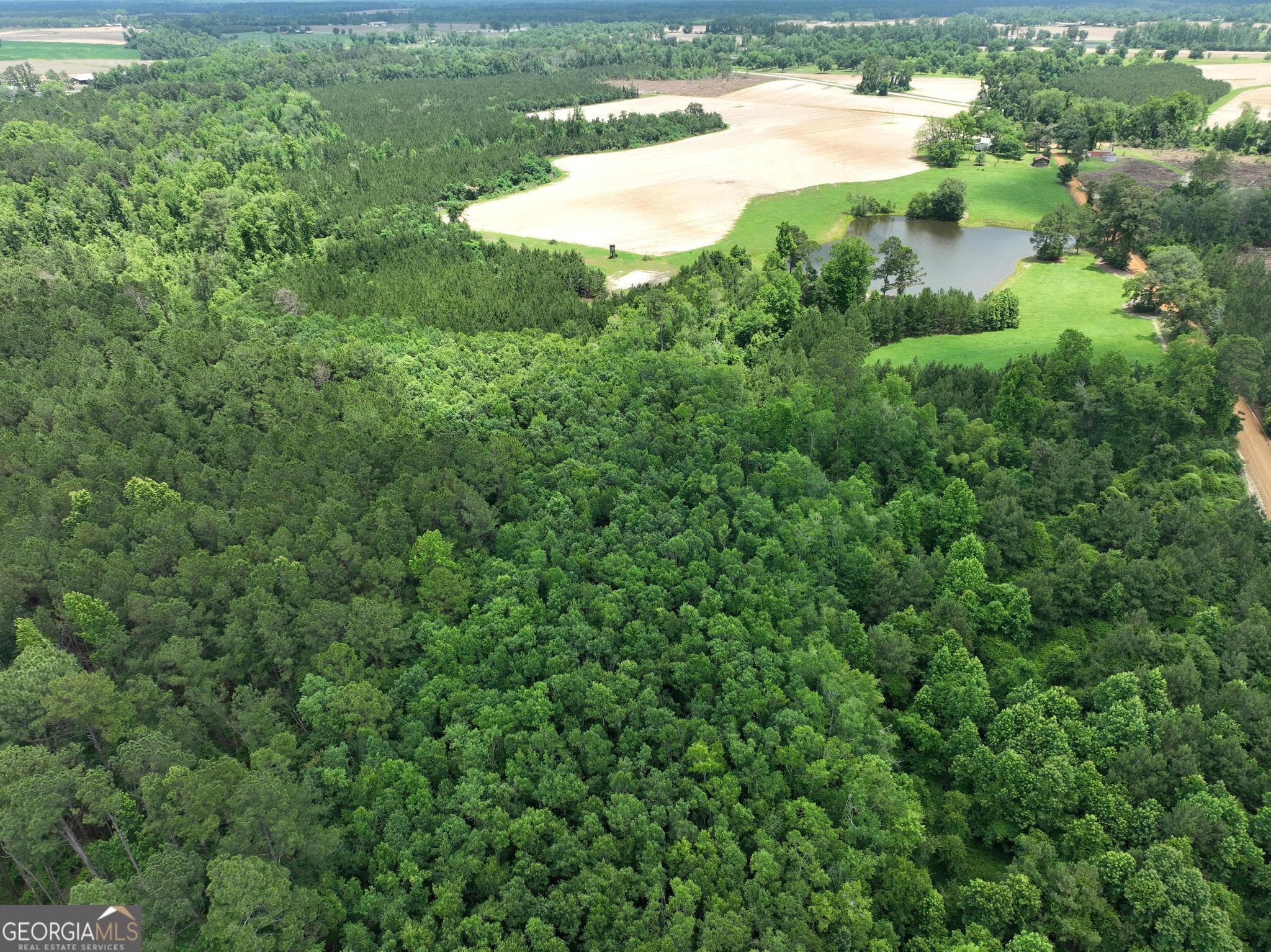 unimproved land for sale at 0 Sgt Lonnie Lane, Metter, GA 30439 — photo 5