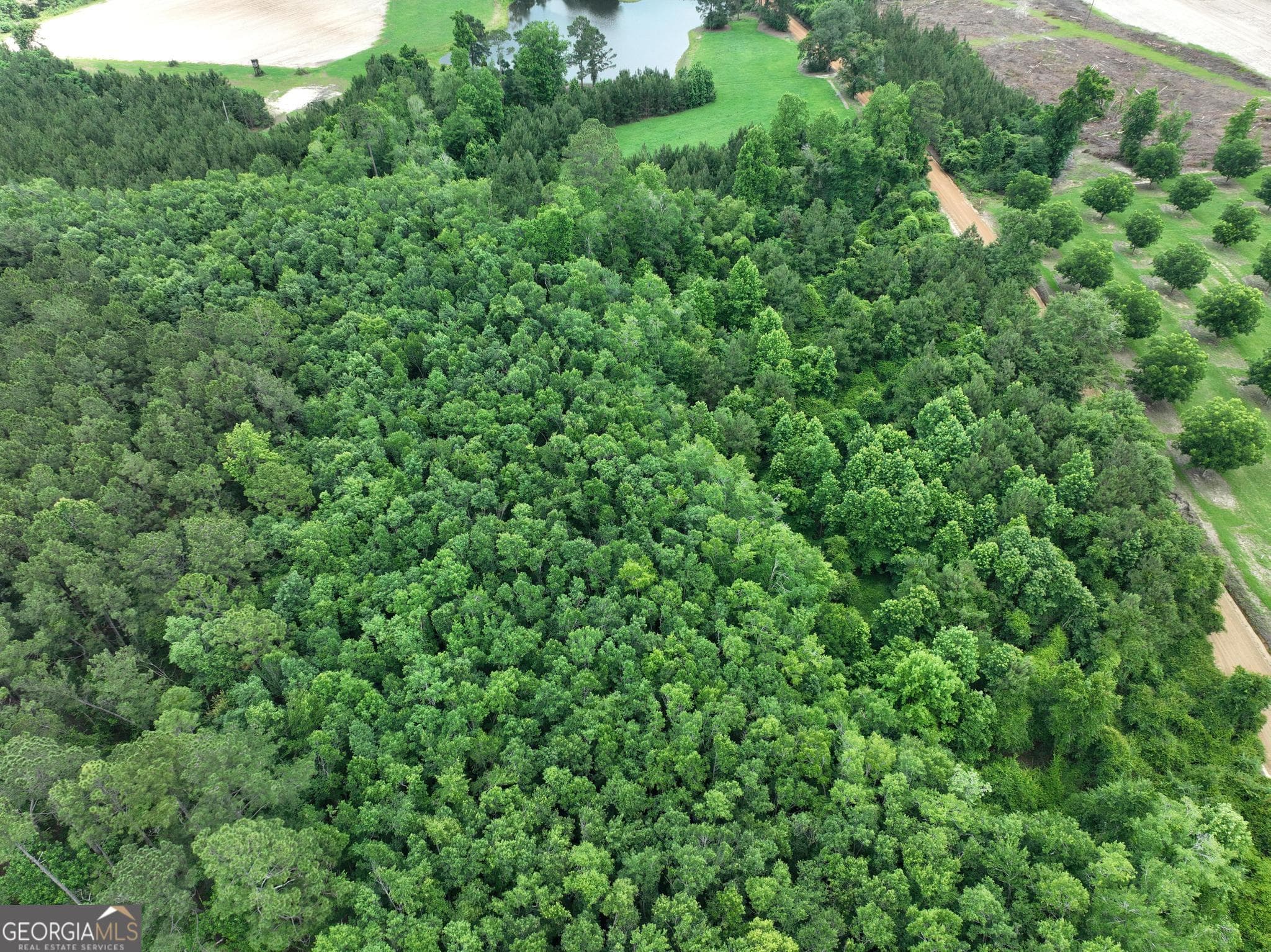 unimproved land for sale at 0 Sgt Lonnie Lane, Metter, GA 30439 — photo 4