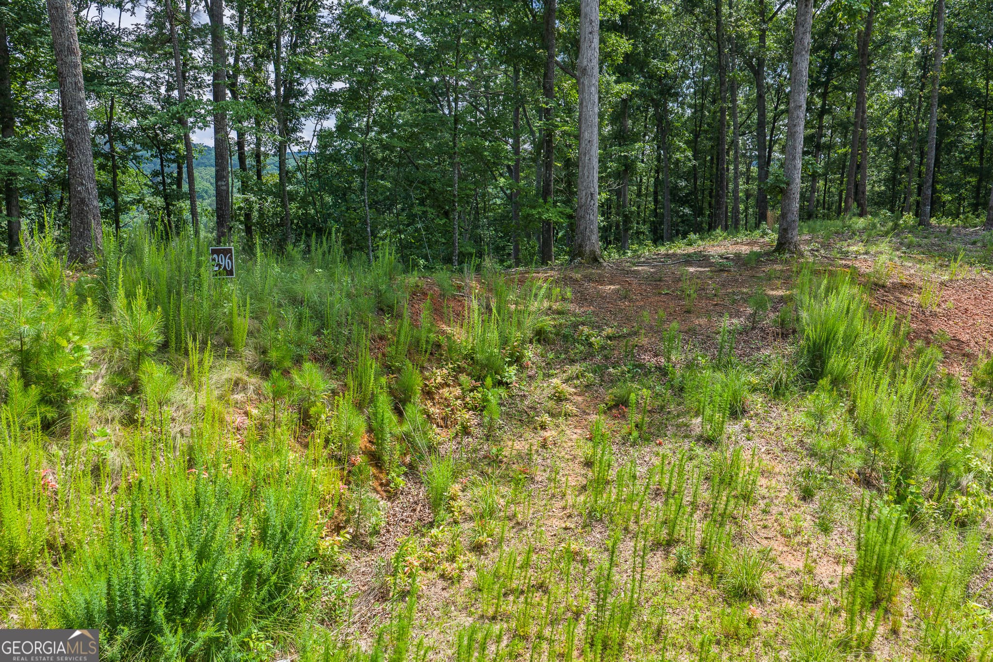 residential lot for sale at LOT 296 Pebble Trace, Talking Rock, GA 30175 — photo 2