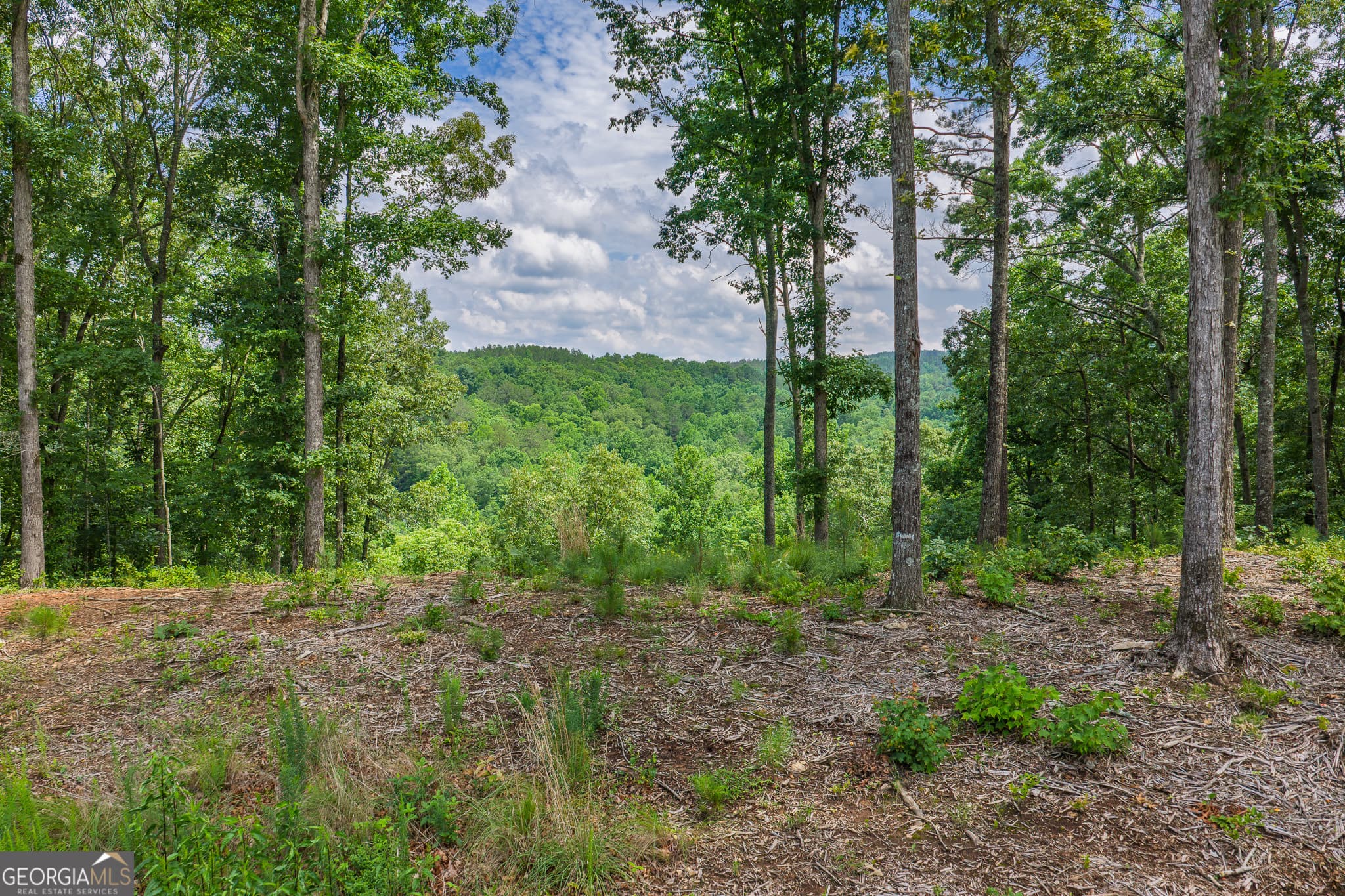 residential lot for sale at LOT 296 Pebble Trace, Talking Rock, GA 30175 — photo 6