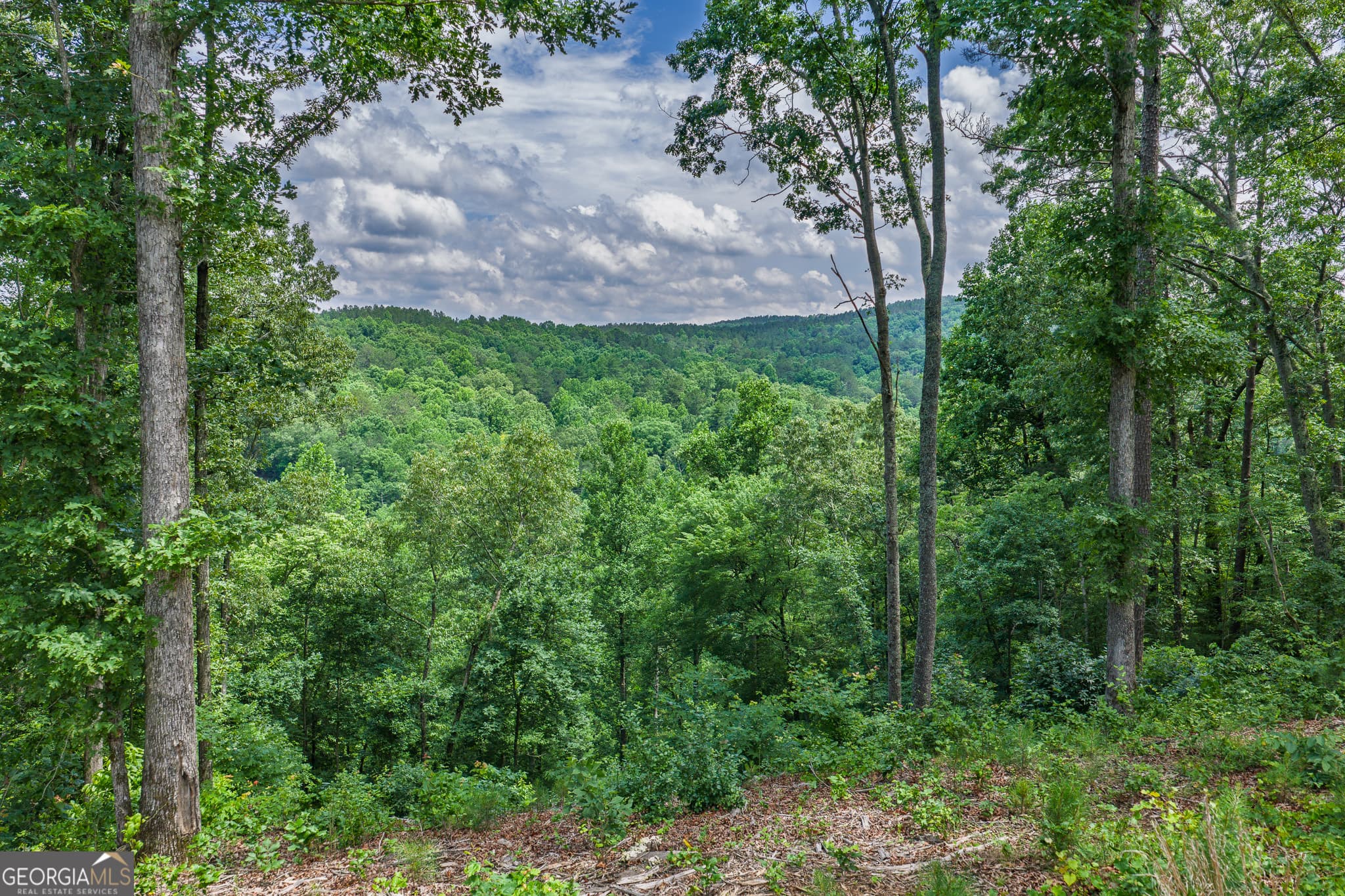 residential lot for sale at LOT 296 Pebble Trace, Talking Rock, GA 30175 — photo 7