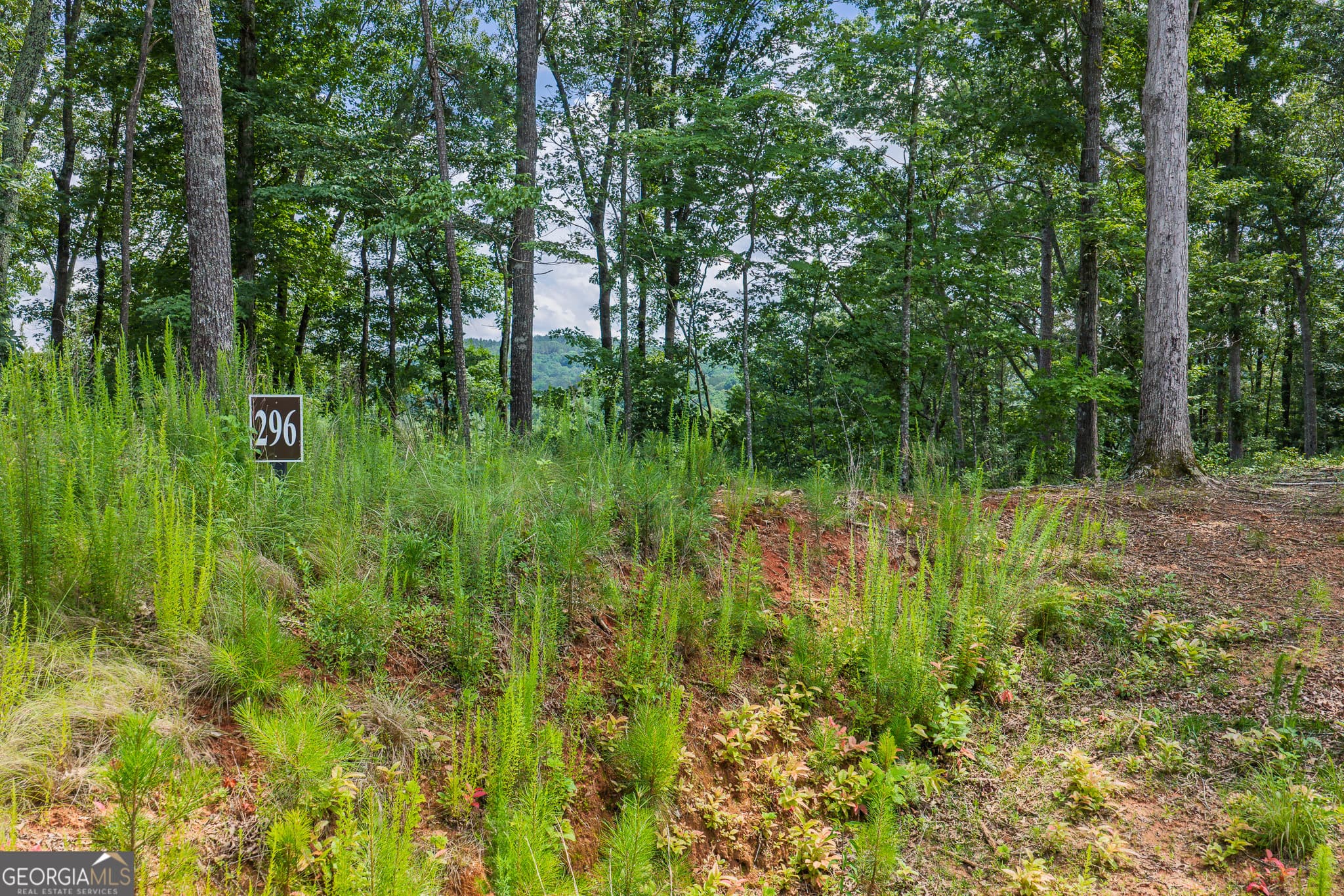 residential lot for sale at LOT 296 Pebble Trace, Talking Rock, GA 30175 — photo 3