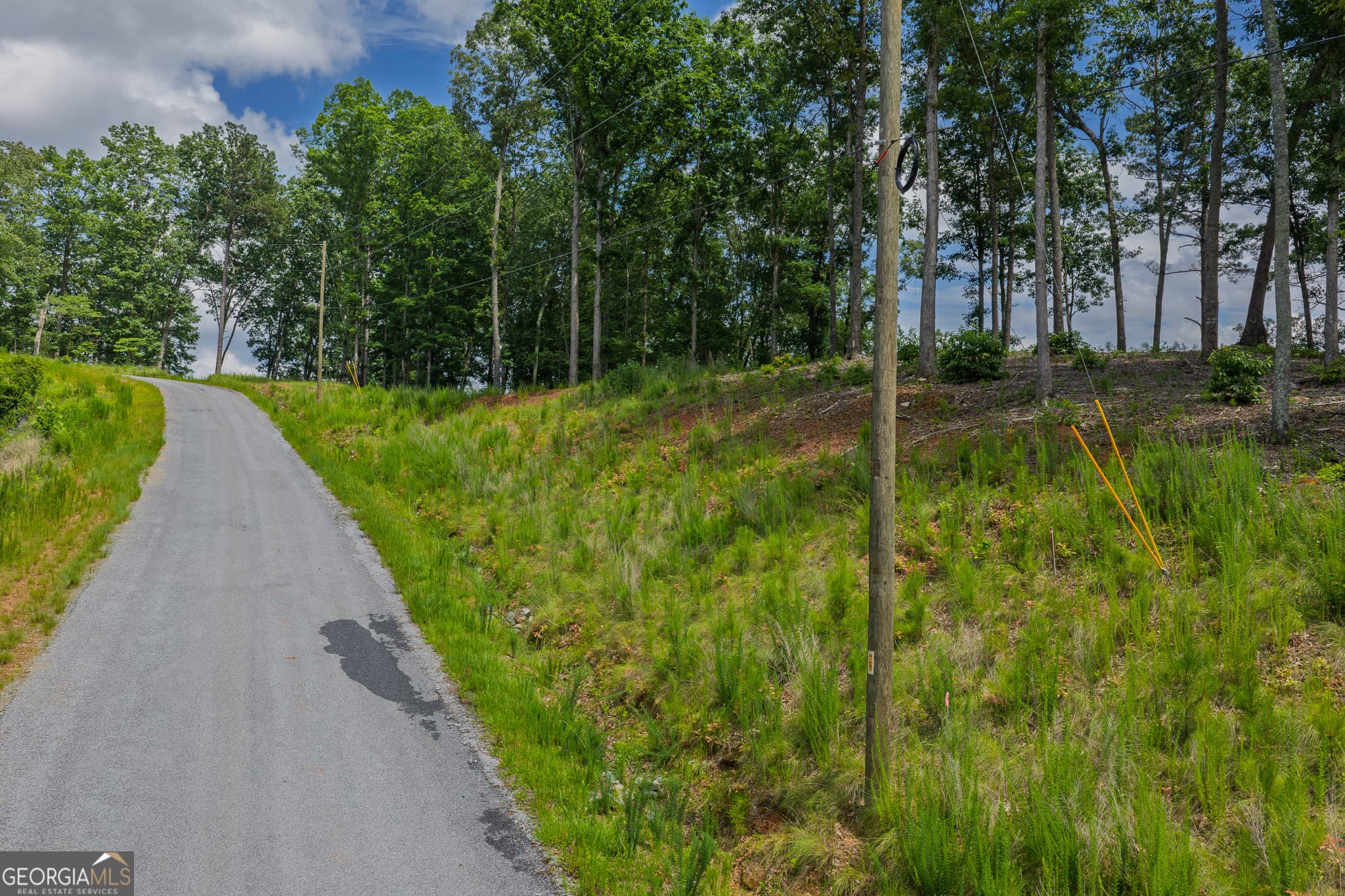 residential lot for sale at LOT 296 Pebble Trace, Talking Rock, GA 30175 — photo 1 of 32