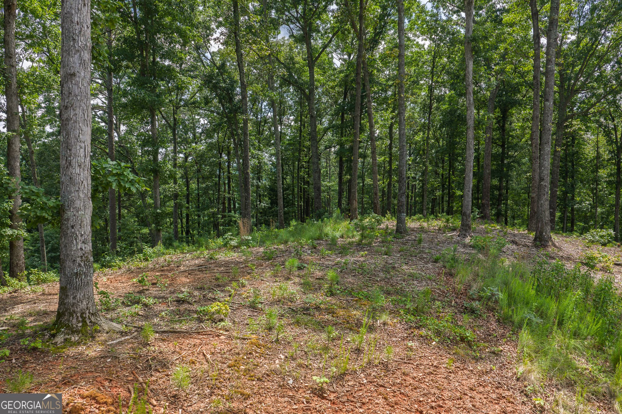 residential lot for sale at LOT 296 Pebble Trace, Talking Rock, GA 30175 — photo 5