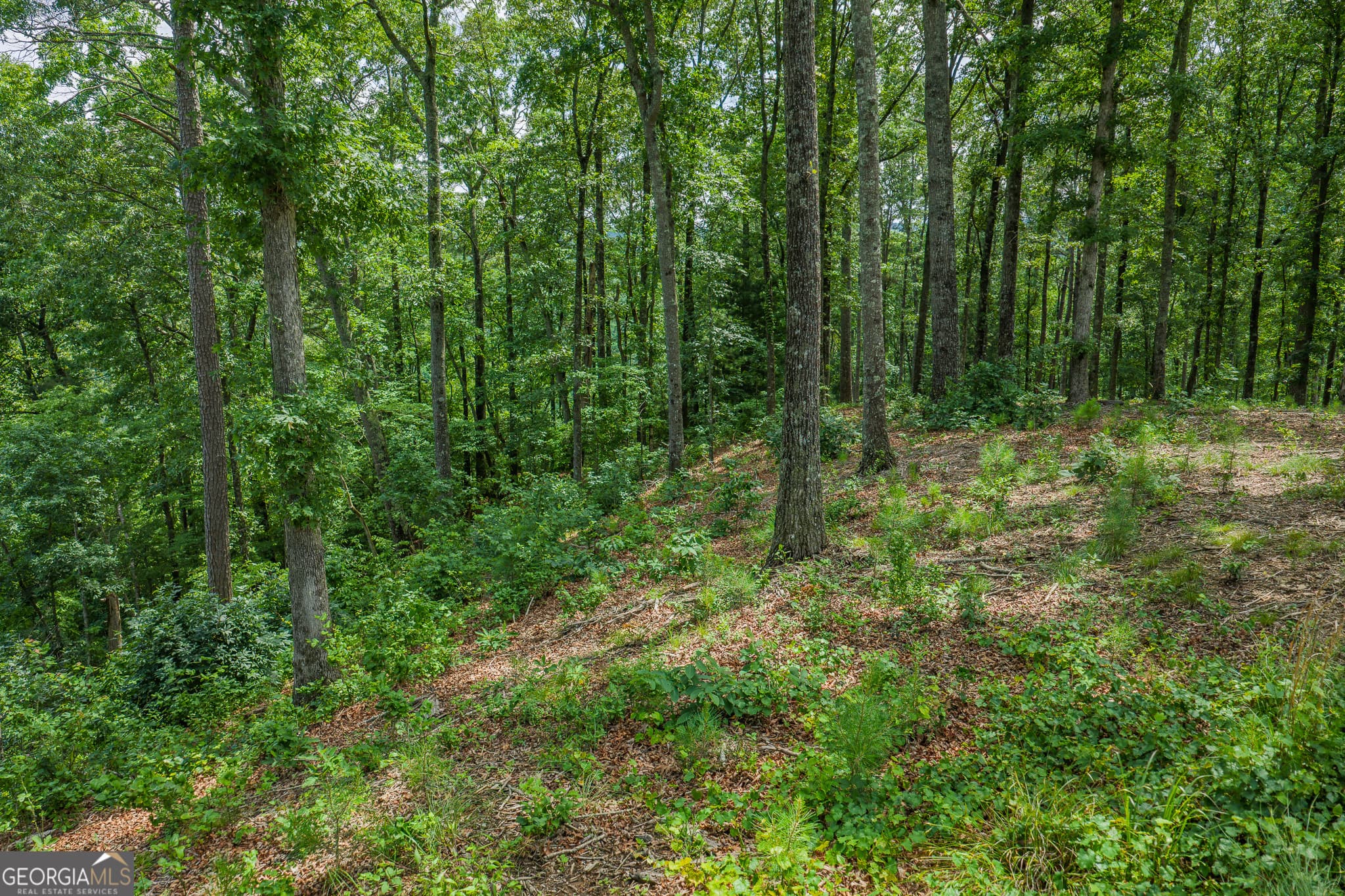 residential lot for sale at LOT 296 Pebble Trace, Talking Rock, GA 30175 — photo 9
