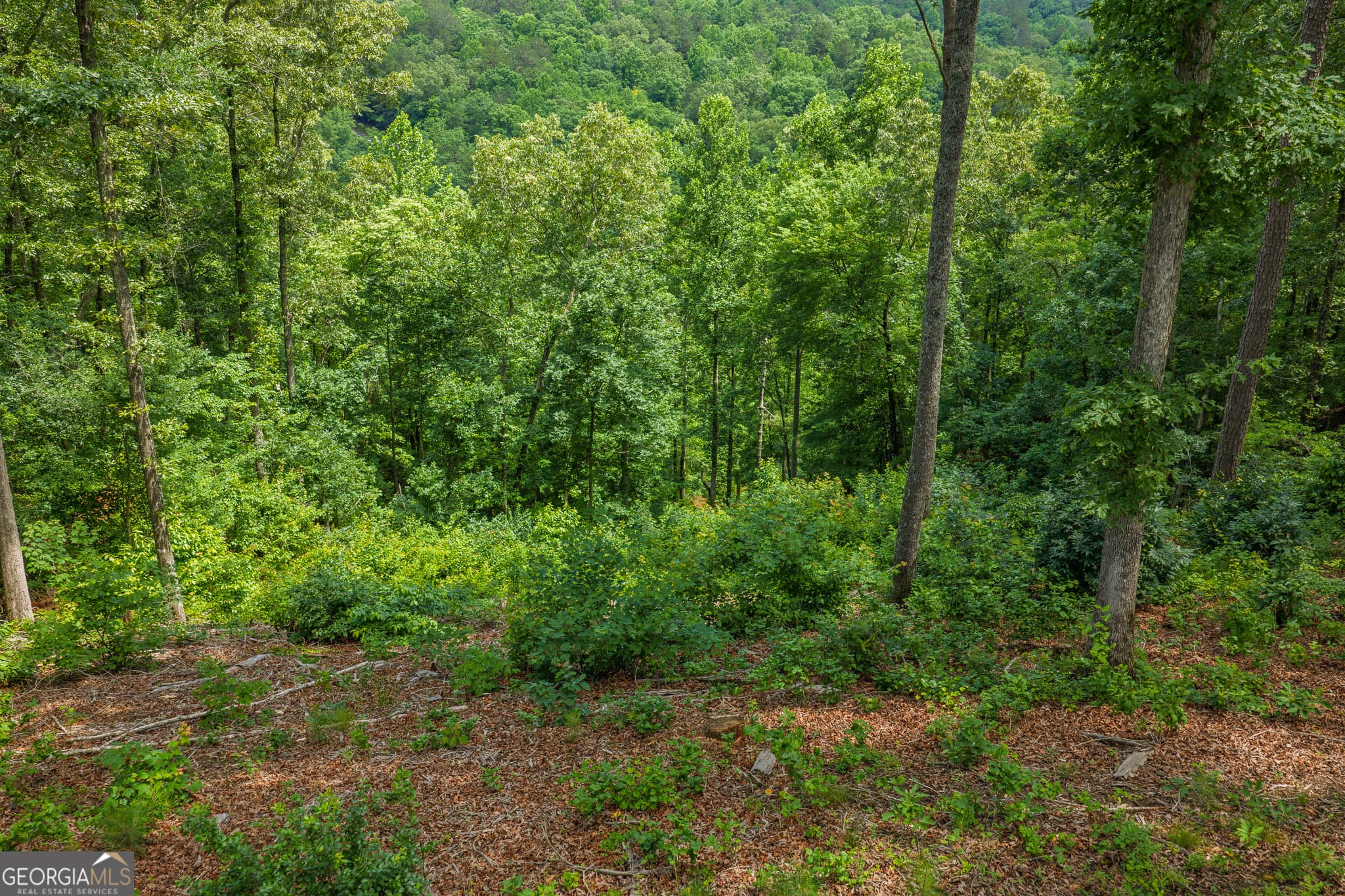 residential lot for sale at LOT 296 Pebble Trace, Talking Rock, GA 30175 — photo 10