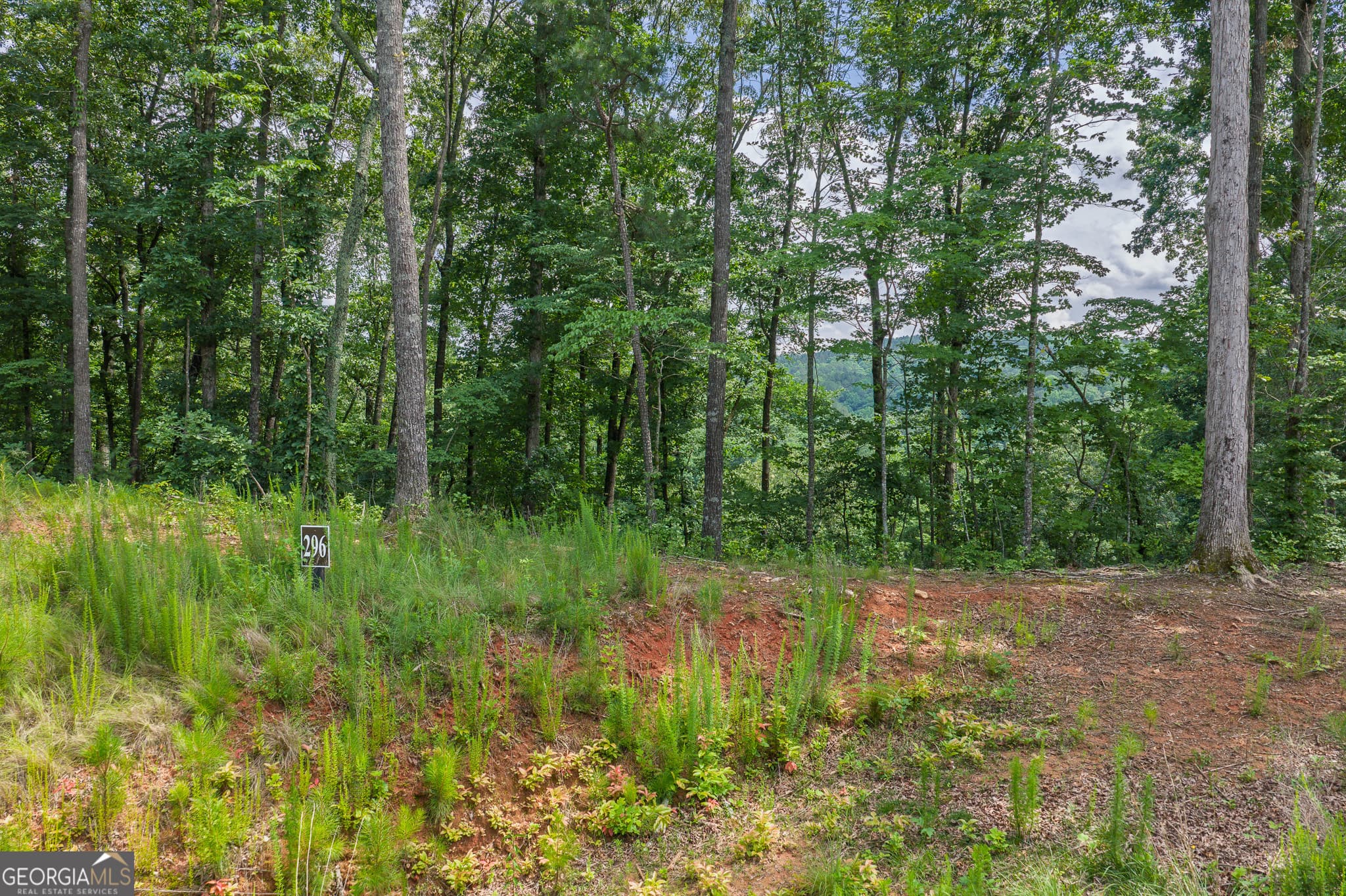 residential lot for sale at LOT 296 Pebble Trace, Talking Rock, GA 30175 — photo 4