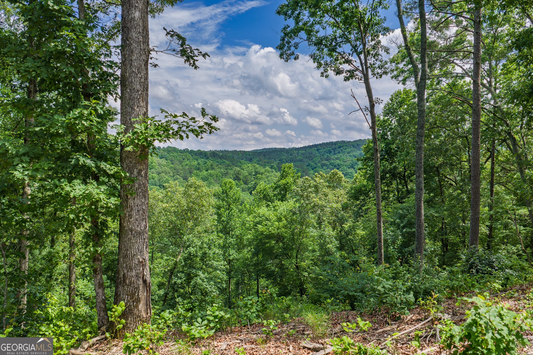 residential lot for sale at LOT 296 Pebble Trace, Talking Rock, GA 30175 — photo 8