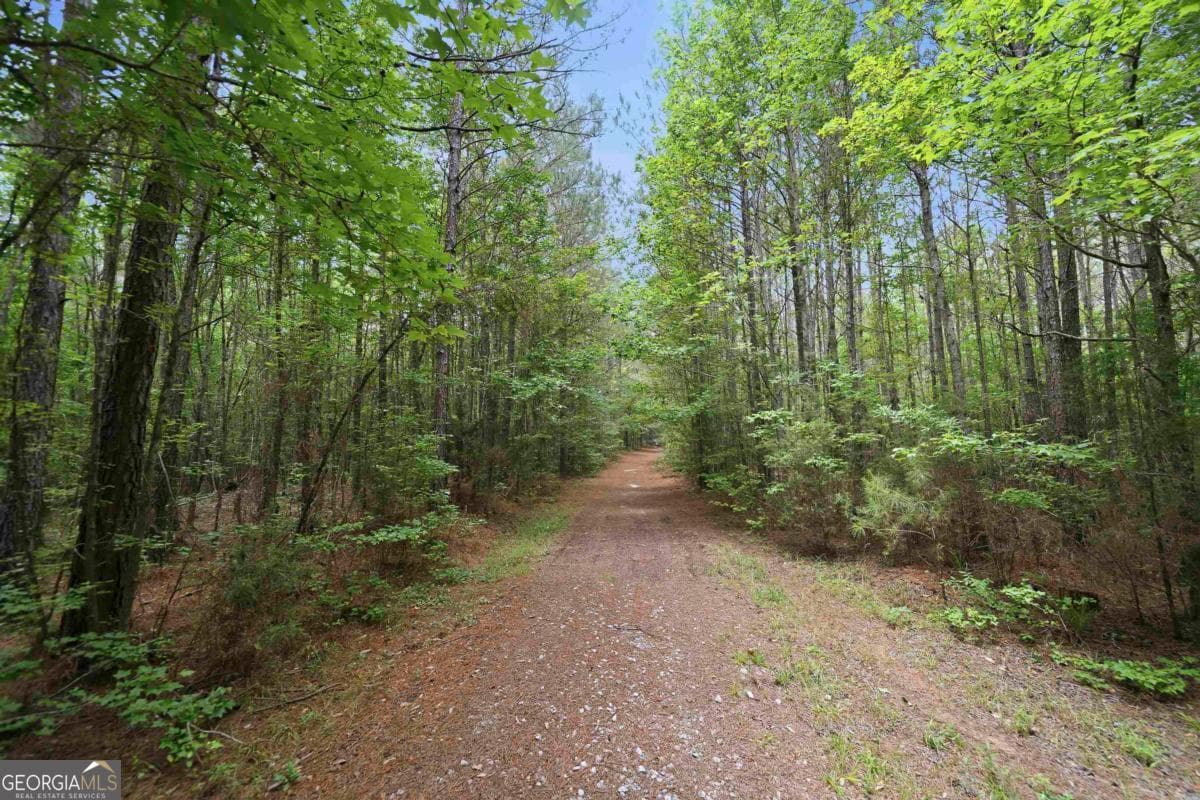 agriculture for sale at 0 Pear Orchard Road, Greensboro, GA 30642 — photo 2