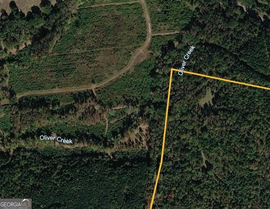 agriculture for sale at 0 Pear Orchard Road, Greensboro, GA 30642 — photo 6
