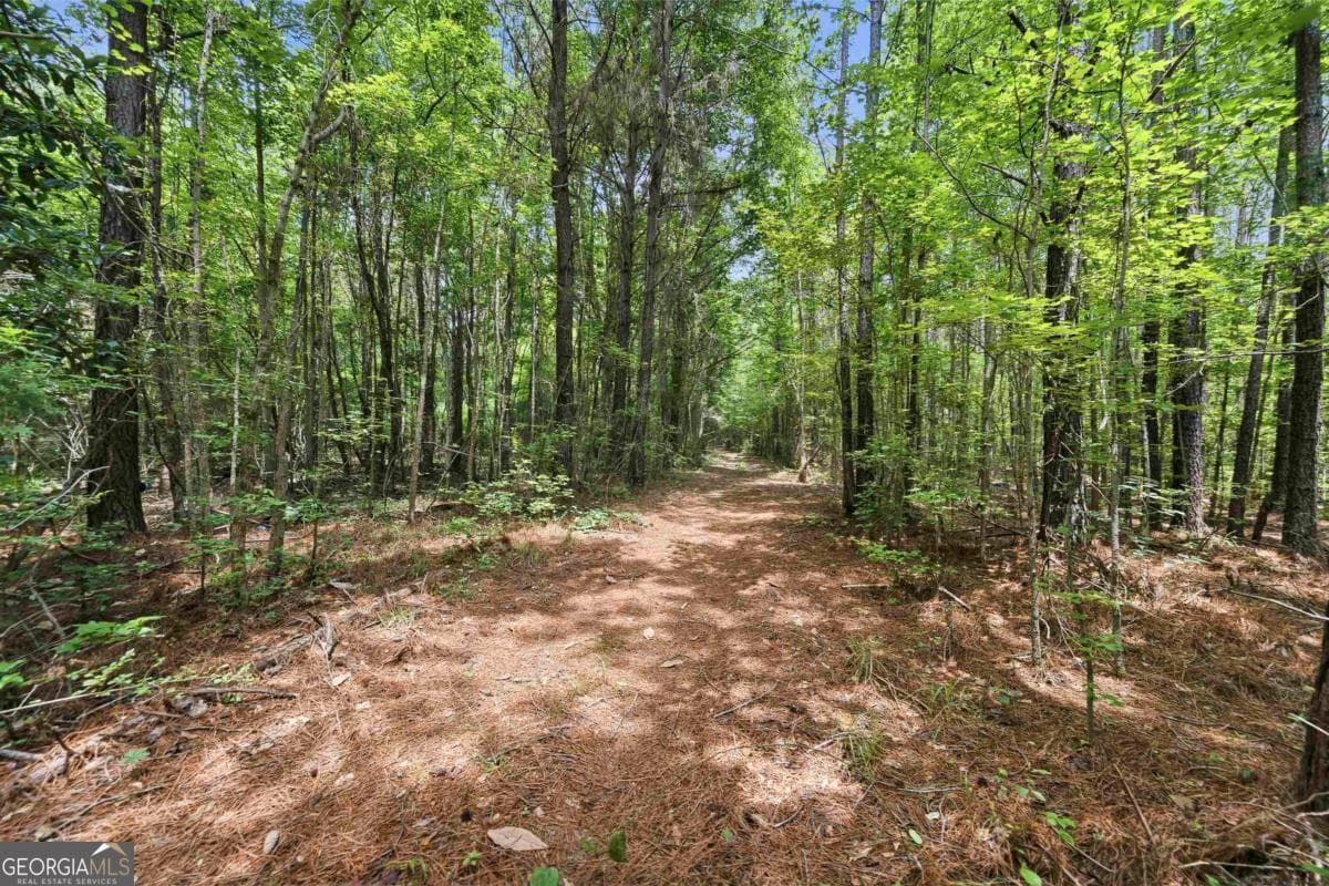 agriculture for sale at 0 Pear Orchard Road, Greensboro, GA 30642 — photo 3