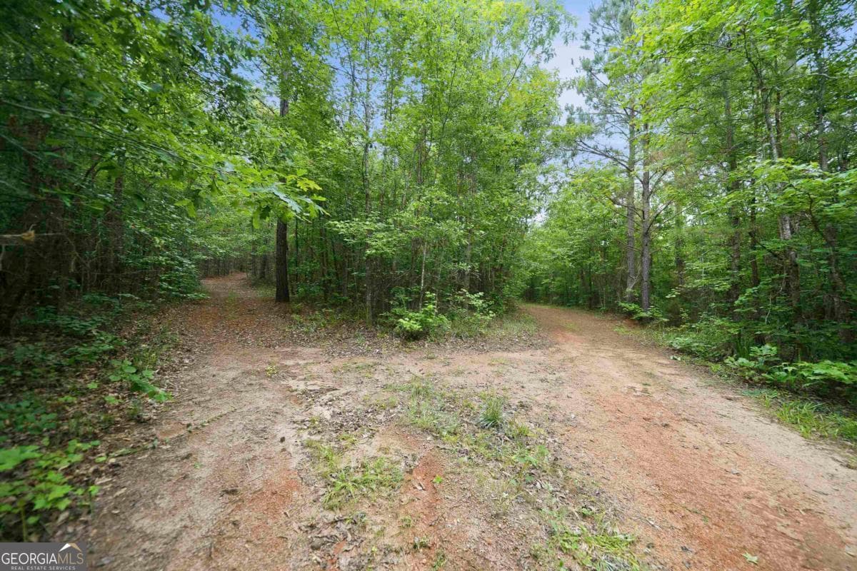 agriculture for sale at 0 Pear Orchard Road, Greensboro, GA 30642 — photo 9