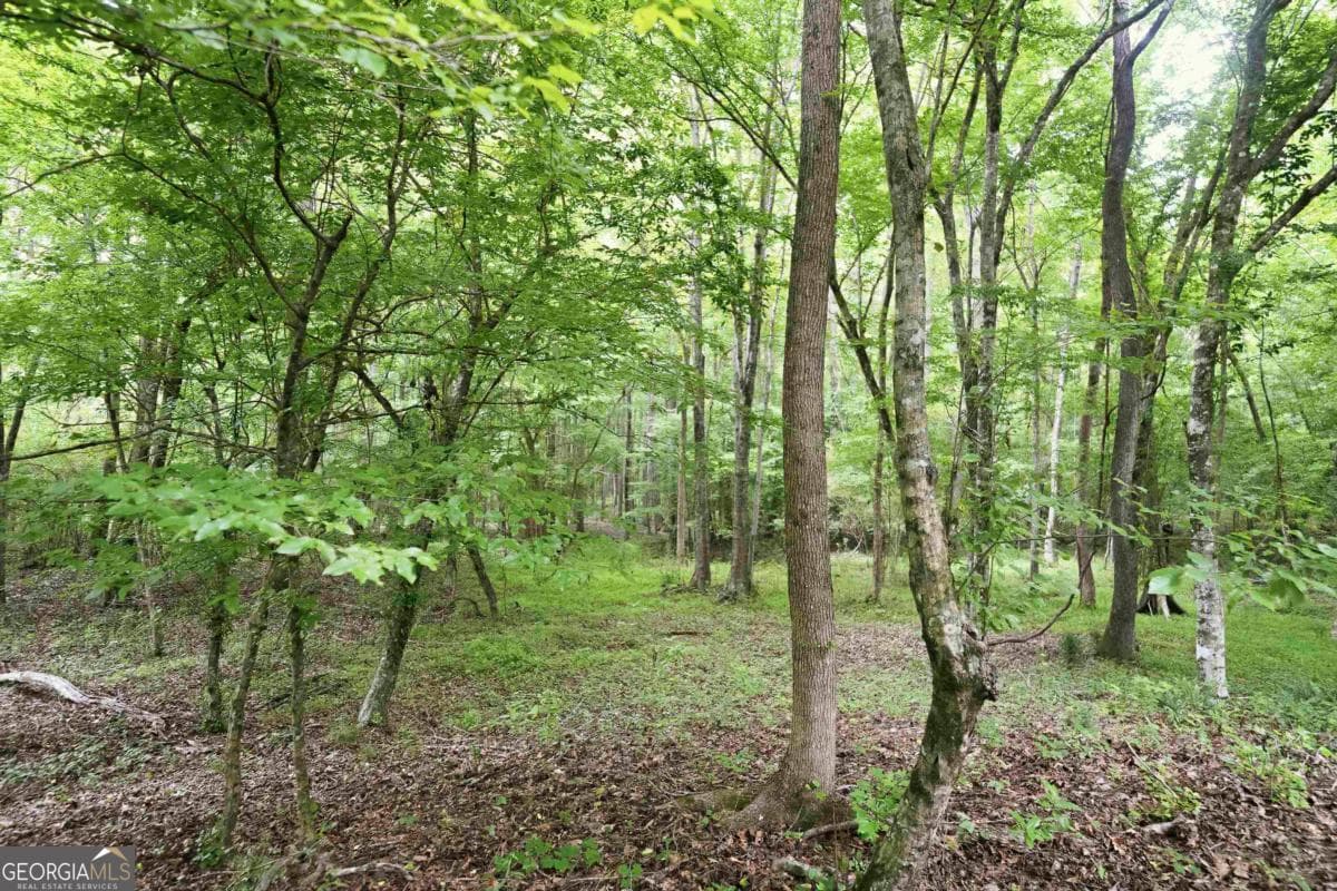 agriculture for sale at 0 Pear Orchard Road, Greensboro, GA 30642 — photo 10