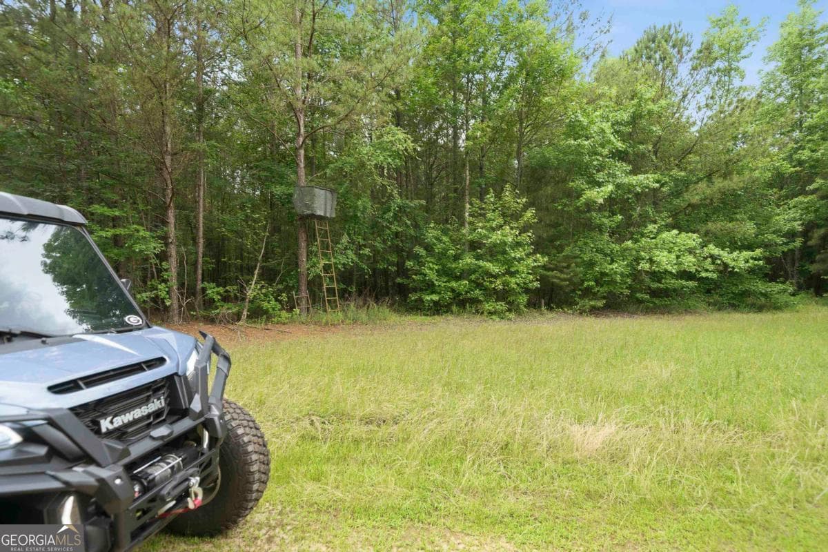agriculture for sale at 0 Pear Orchard Road, Greensboro, GA 30642 — photo 4