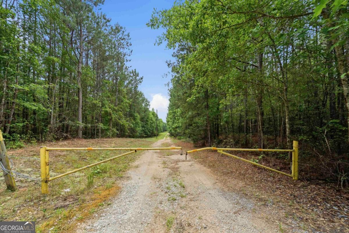 agriculture for sale at 0 Pear Orchard Road, Greensboro, GA 30642 — photo 8