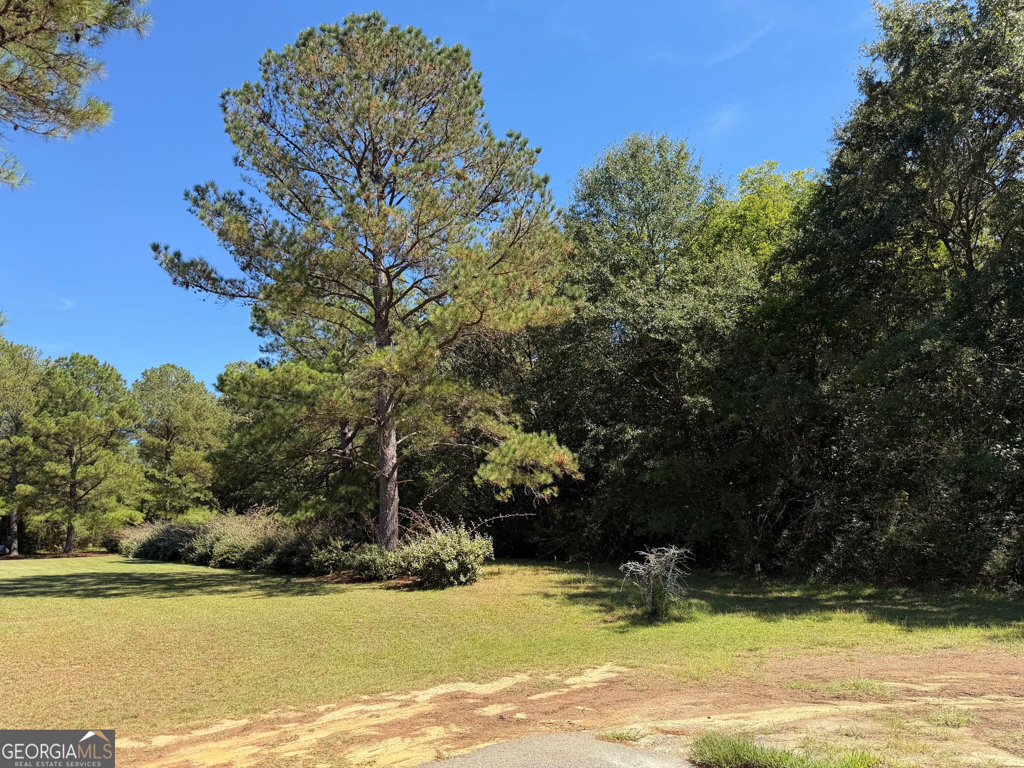 6 bedroom, 4.5 bathroom, 3,815 sq ft single family residence for sale at 231 Broad Meadows Road, Dublin, GA 31021 — photo 7